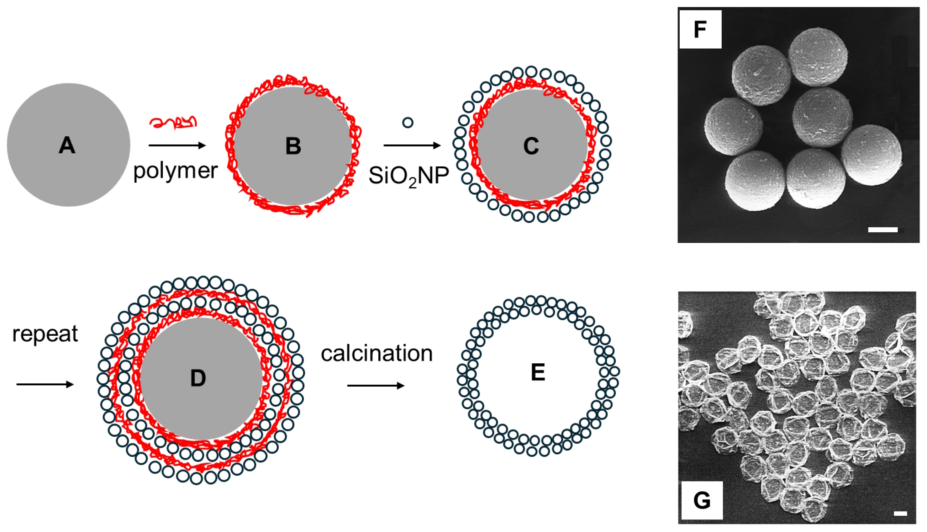 Nanomaterials 15 00243 g001 Nanomaterials 15 00243 g001