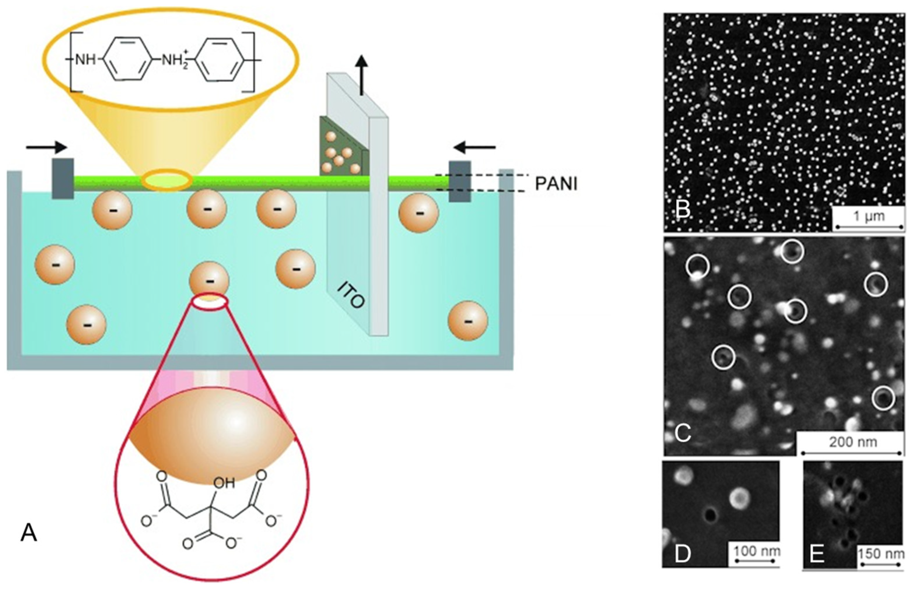 Nanomaterials 15 00243 g002 Nanomaterials 15 00243 g002