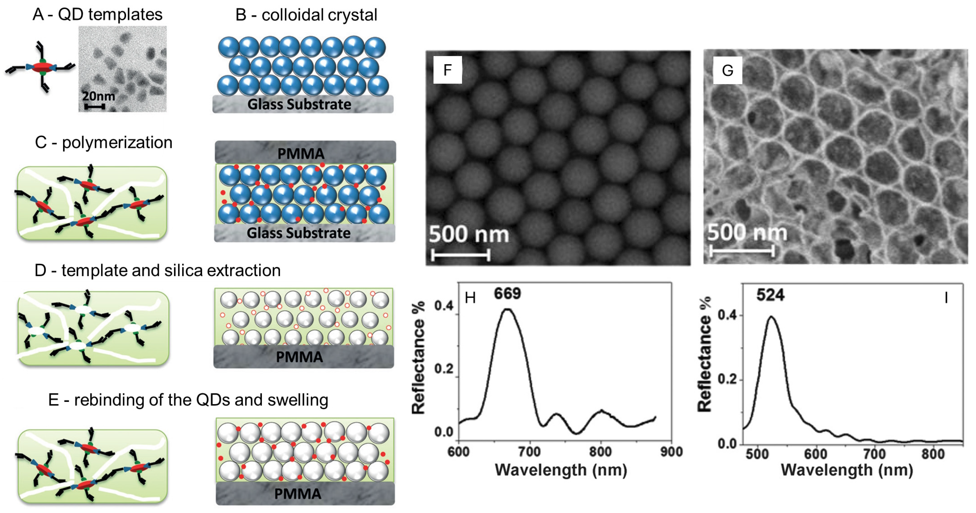 Nanomaterials 15 00243 g003 Nanomaterials 15 00243 g003