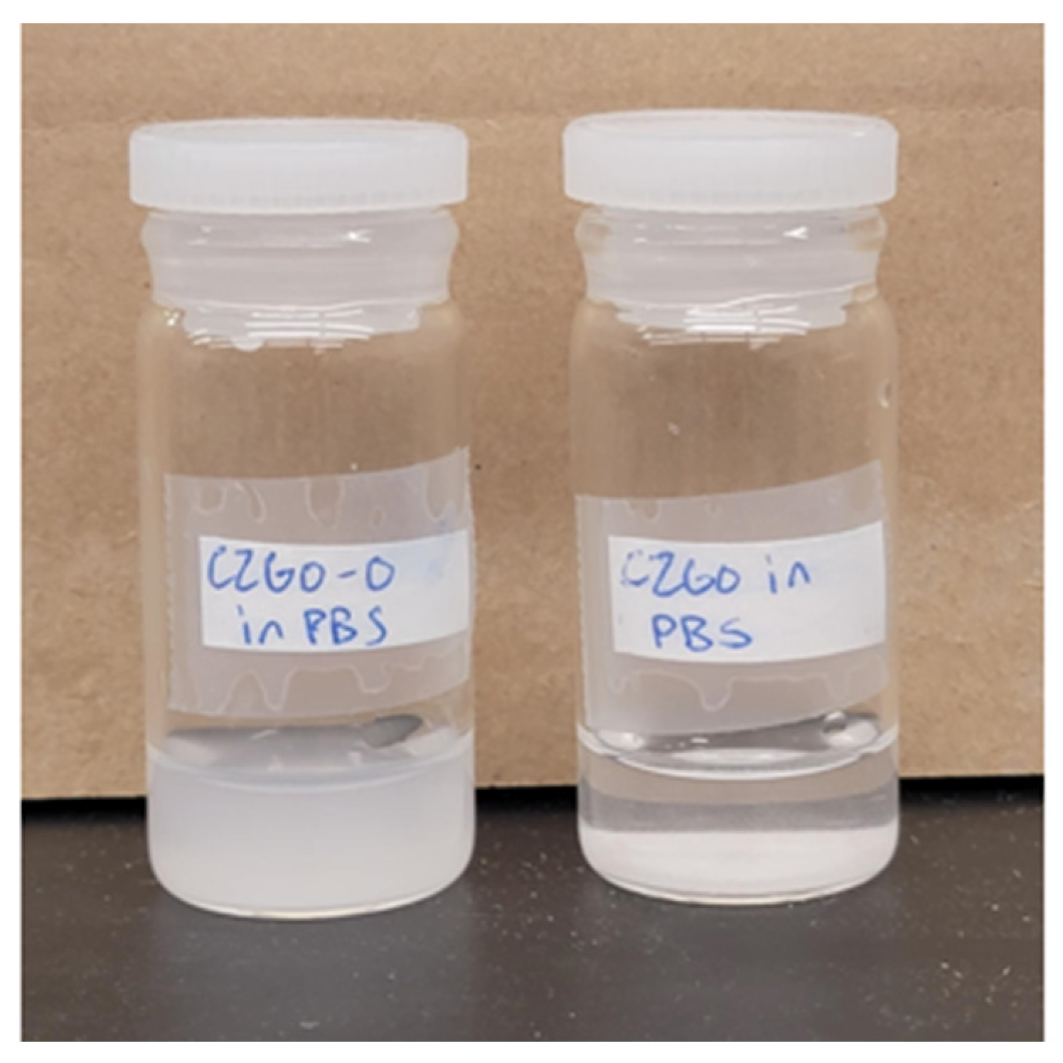 Nanomaterials 15 00247 g001