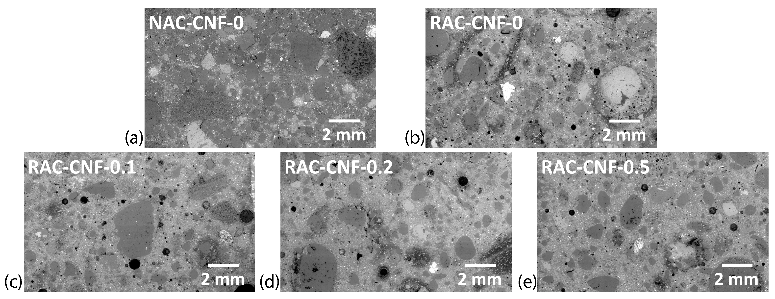 Nanomaterials 15 00253 g003