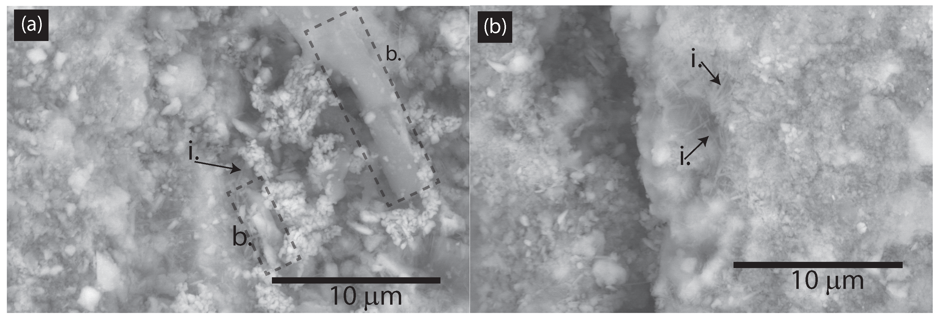 Nanomaterials 15 00253 g005