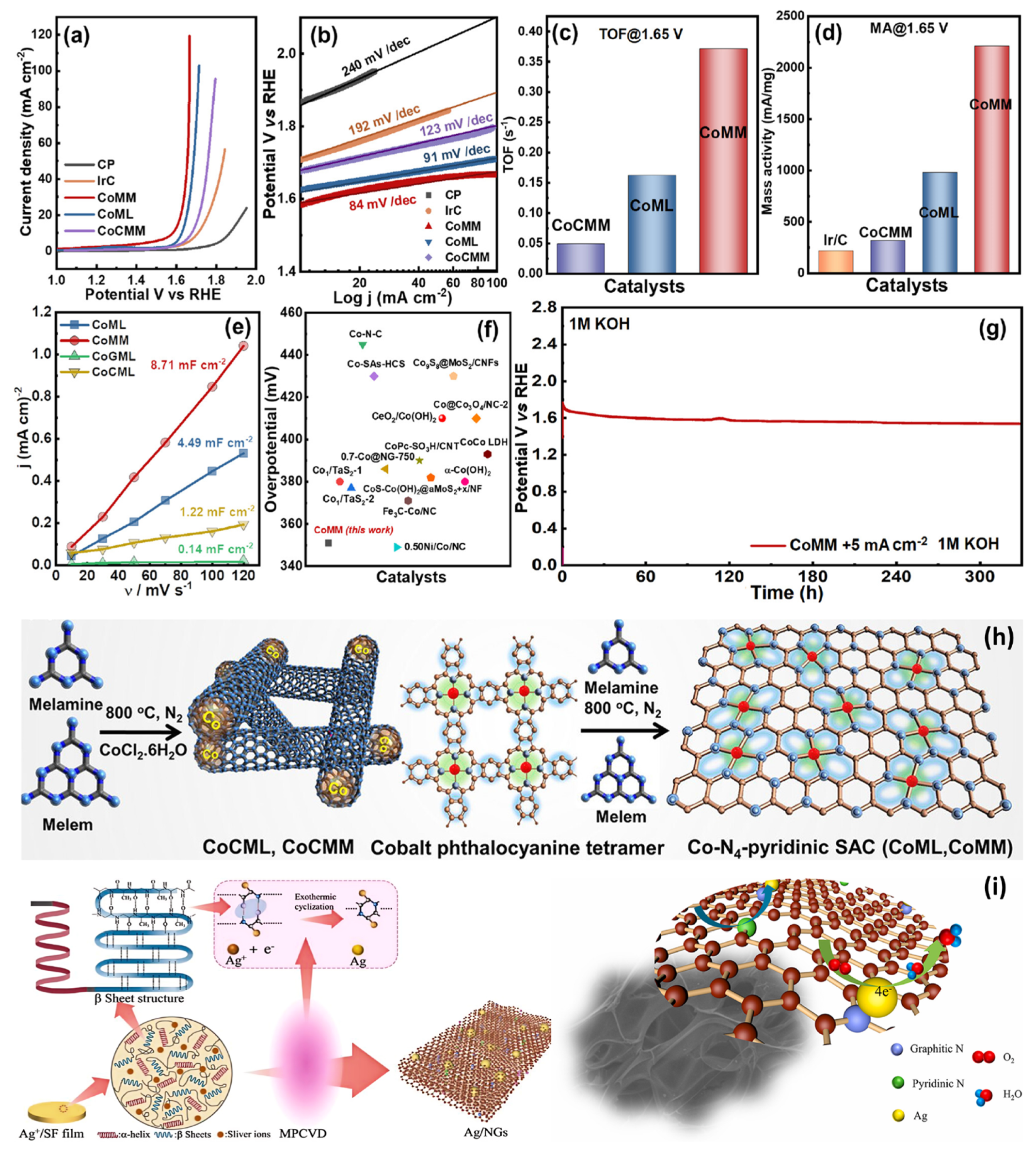 Nanomaterials 15 00254 g009
