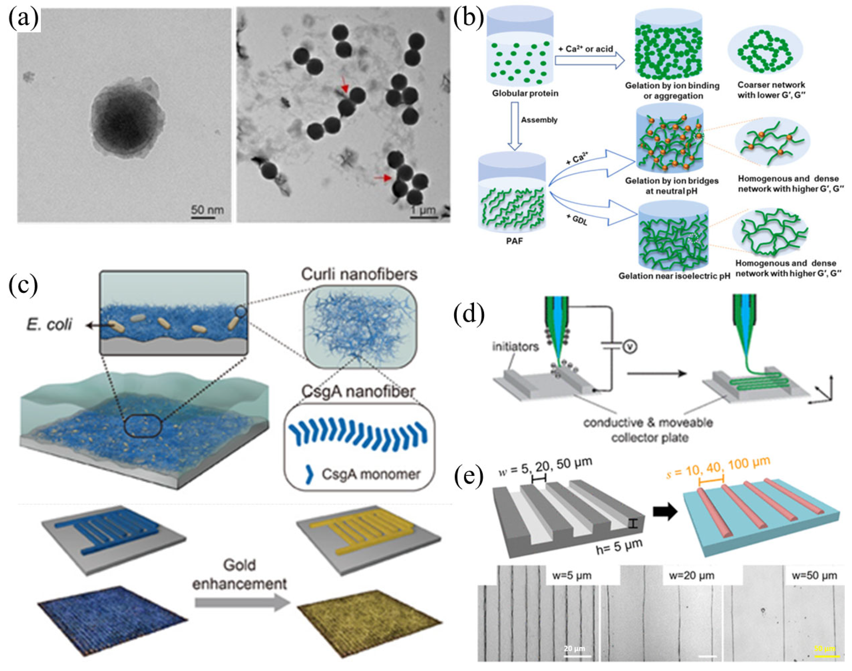 Nanomaterials 15 00255 g002