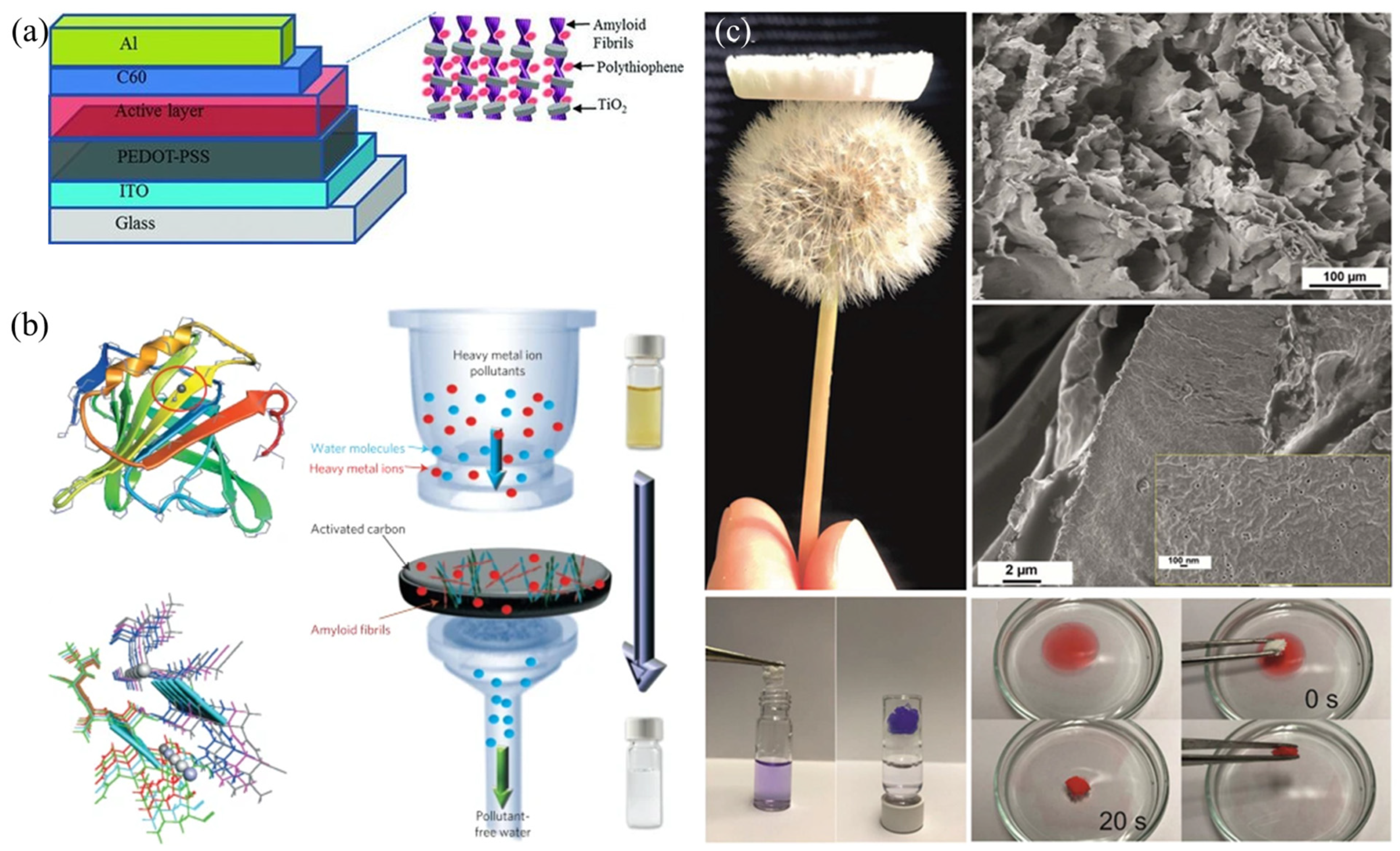 Nanomaterials 15 00255 g003