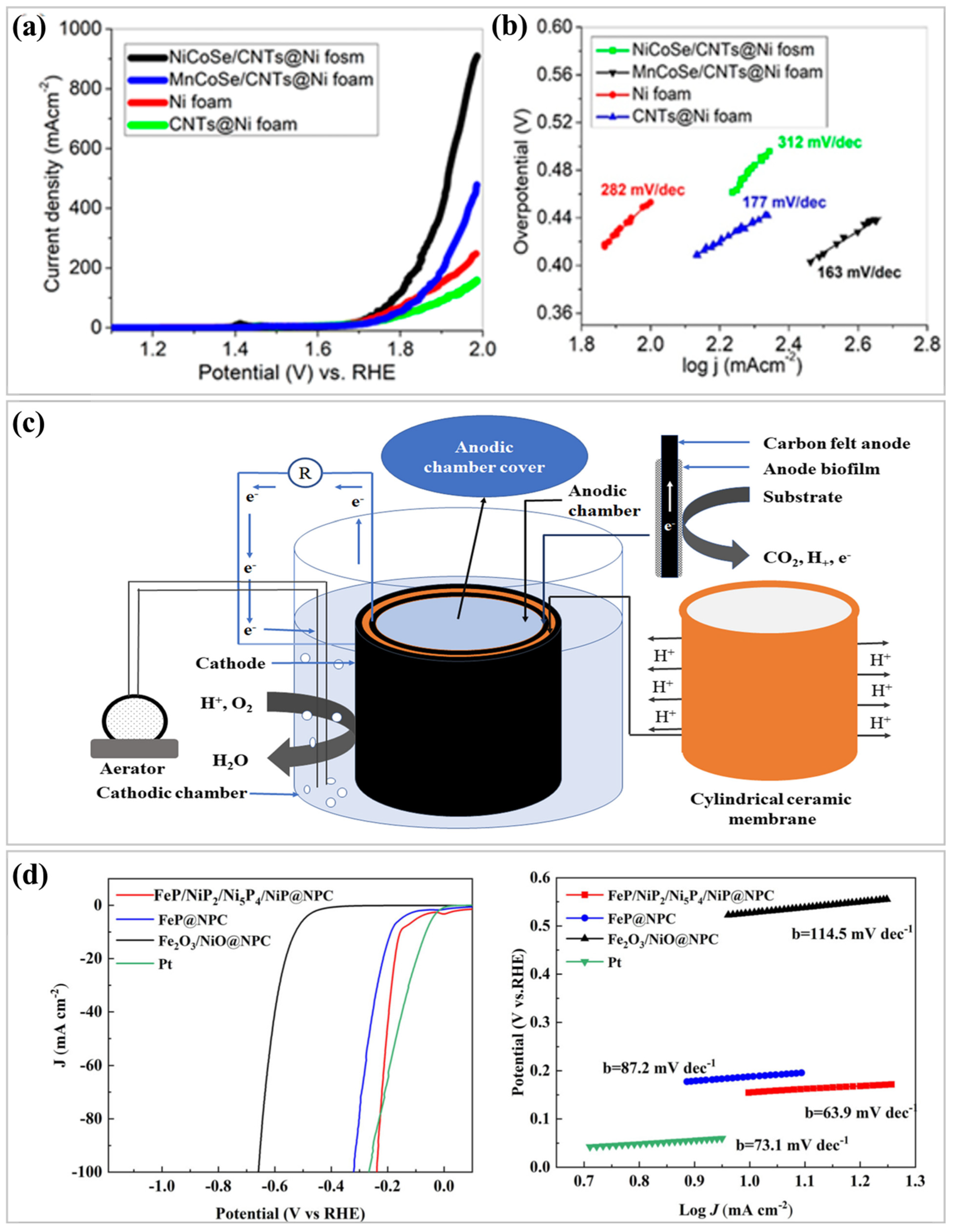 Nanomaterials 15 00256 g005