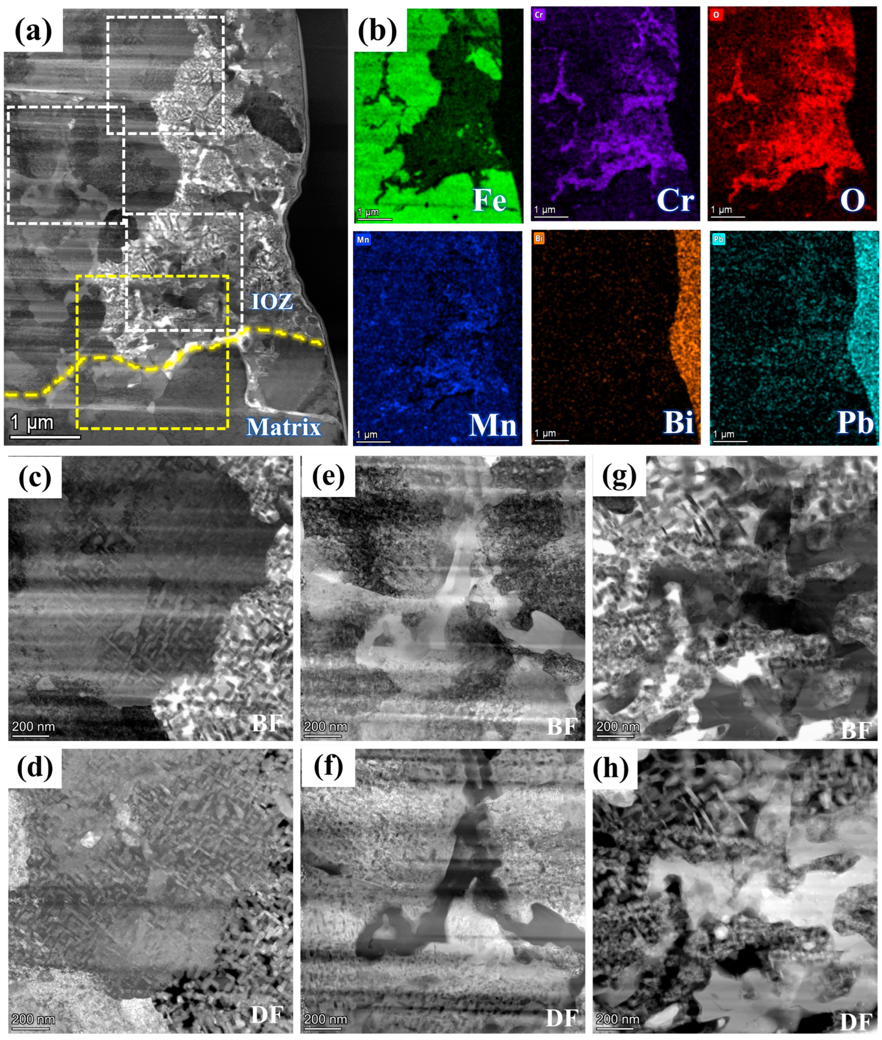 Nanomaterials 15 00258 g004