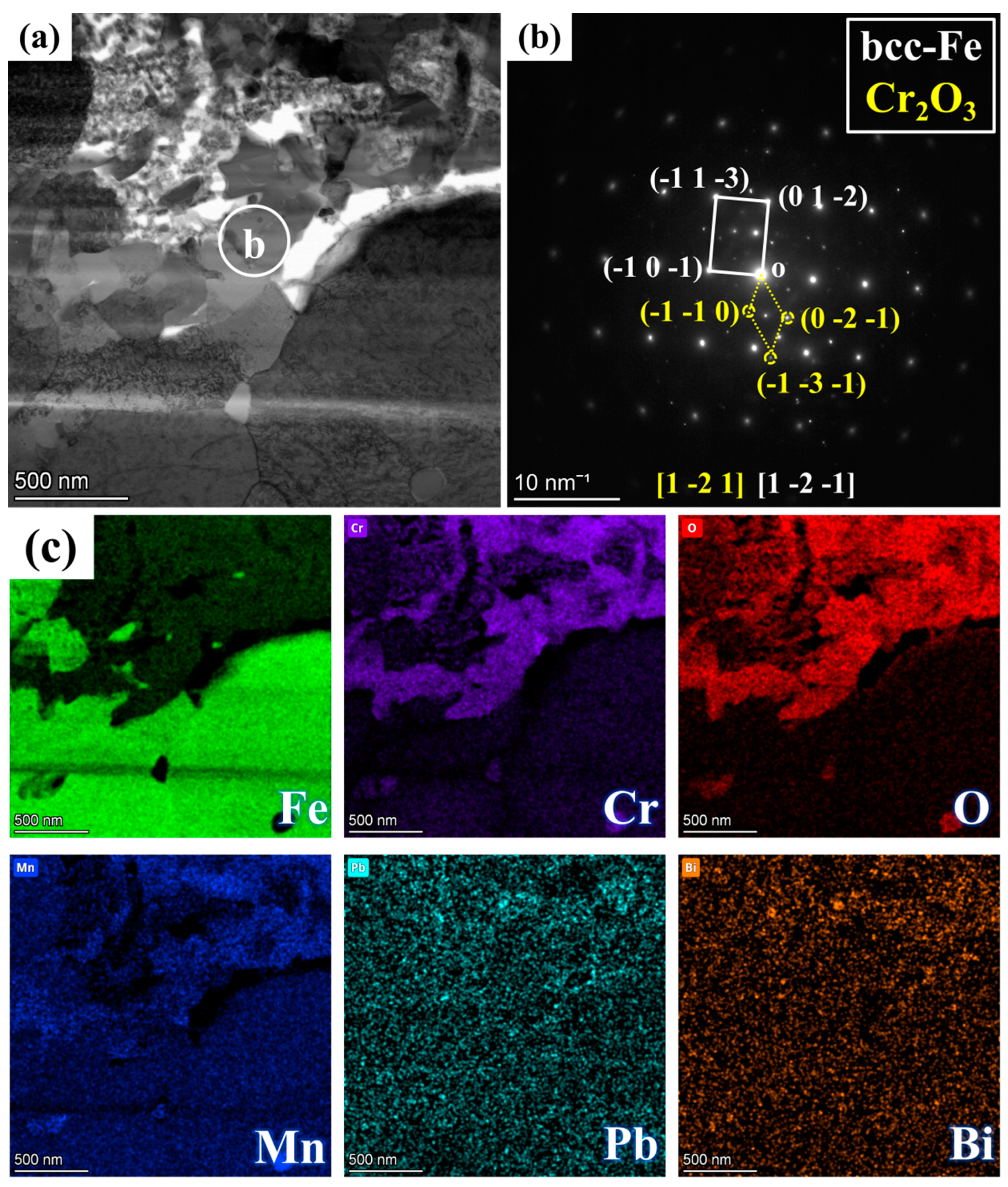 Nanomaterials 15 00258 g005