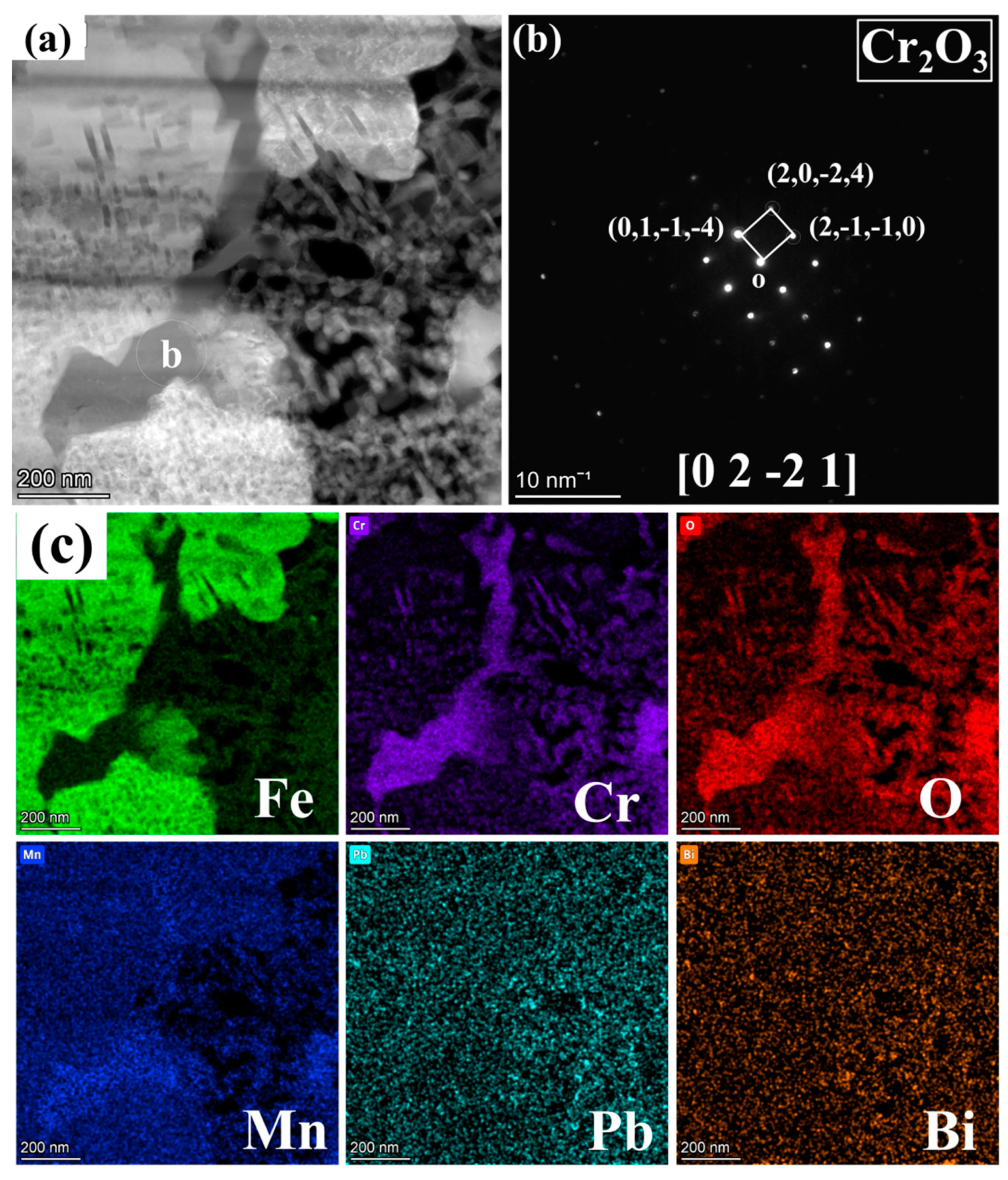 Nanomaterials 15 00258 g006