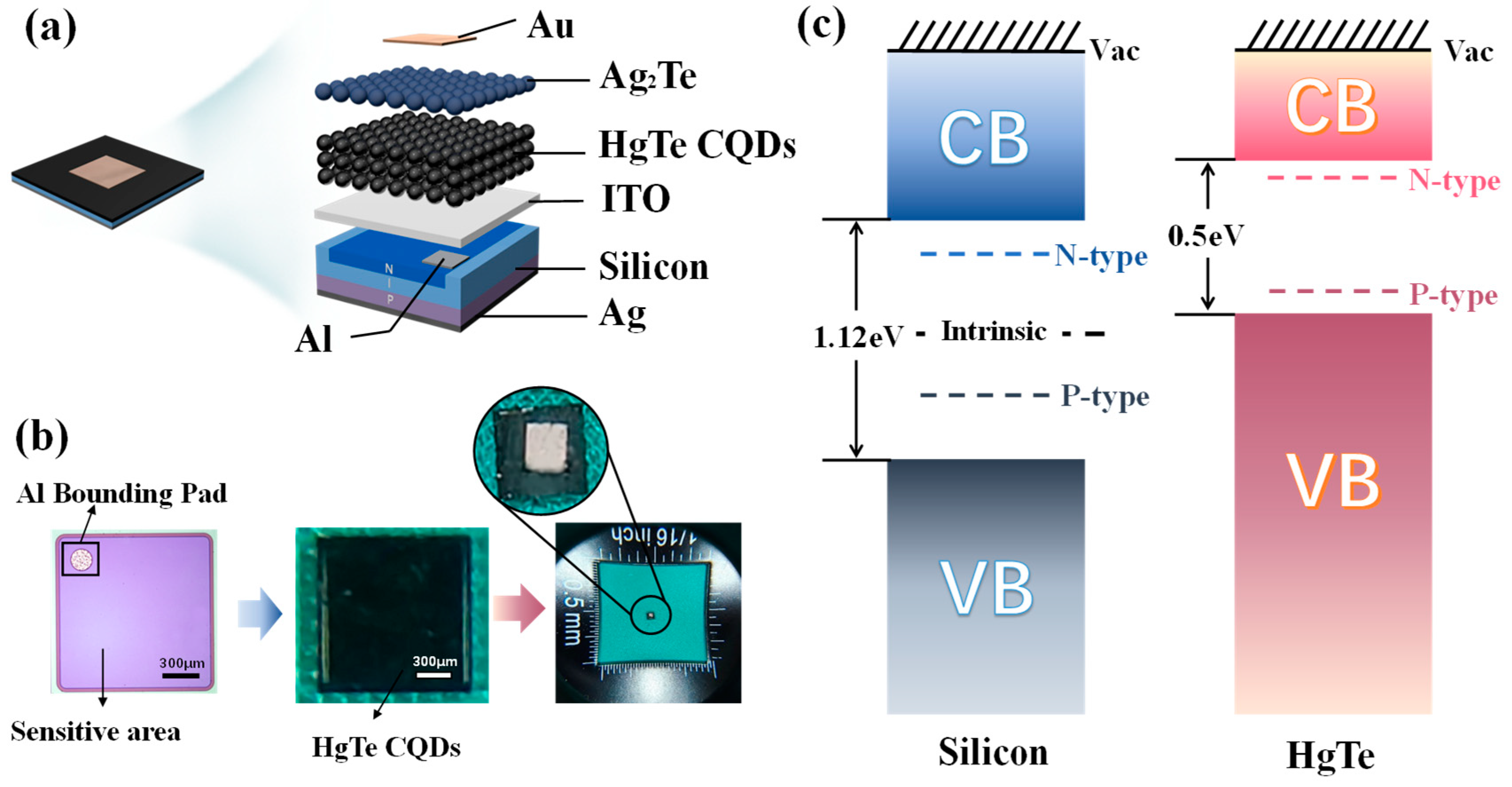 Nanomaterials 15 00262 g002