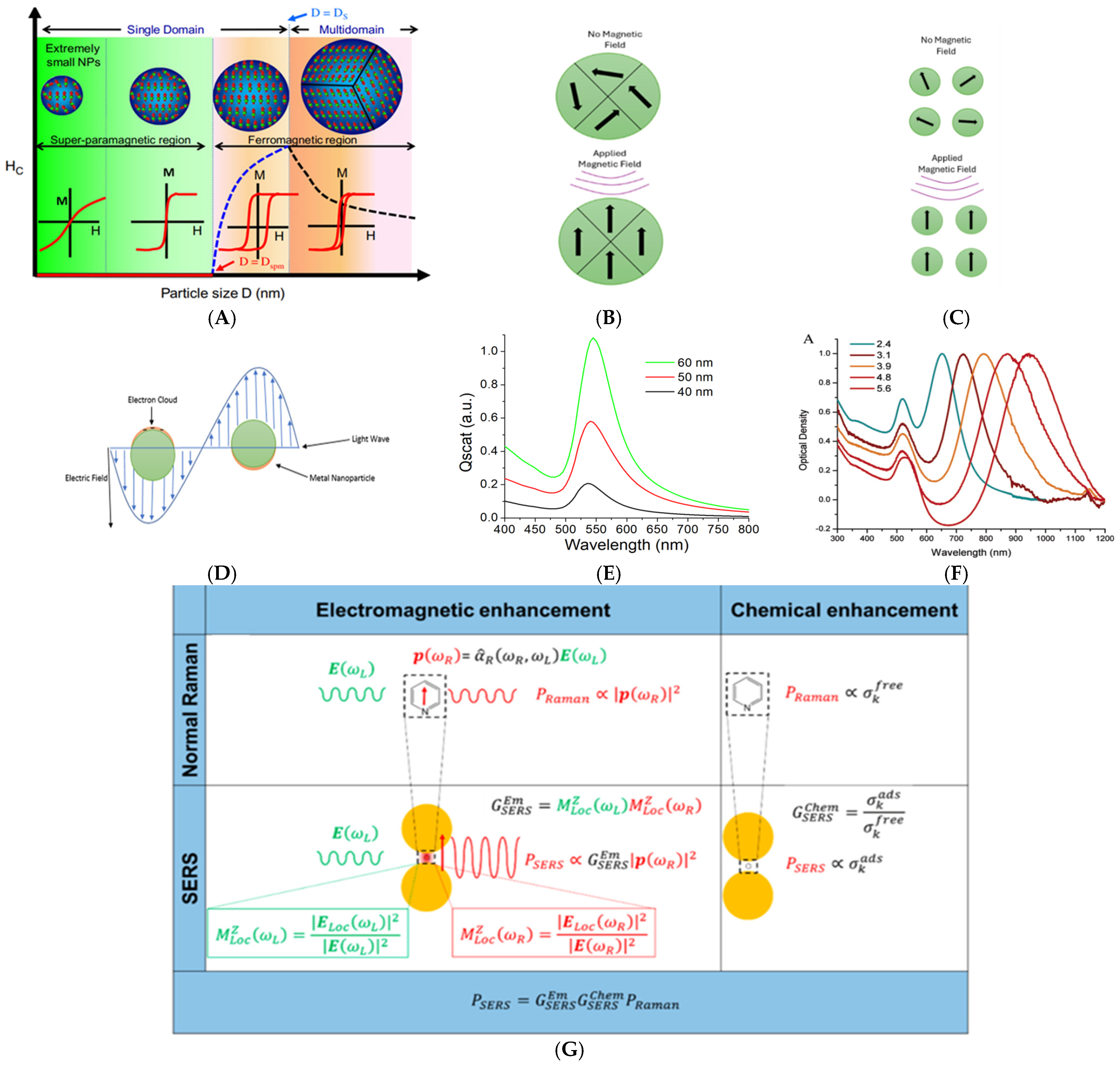 Nanomaterials 15 00264 g001