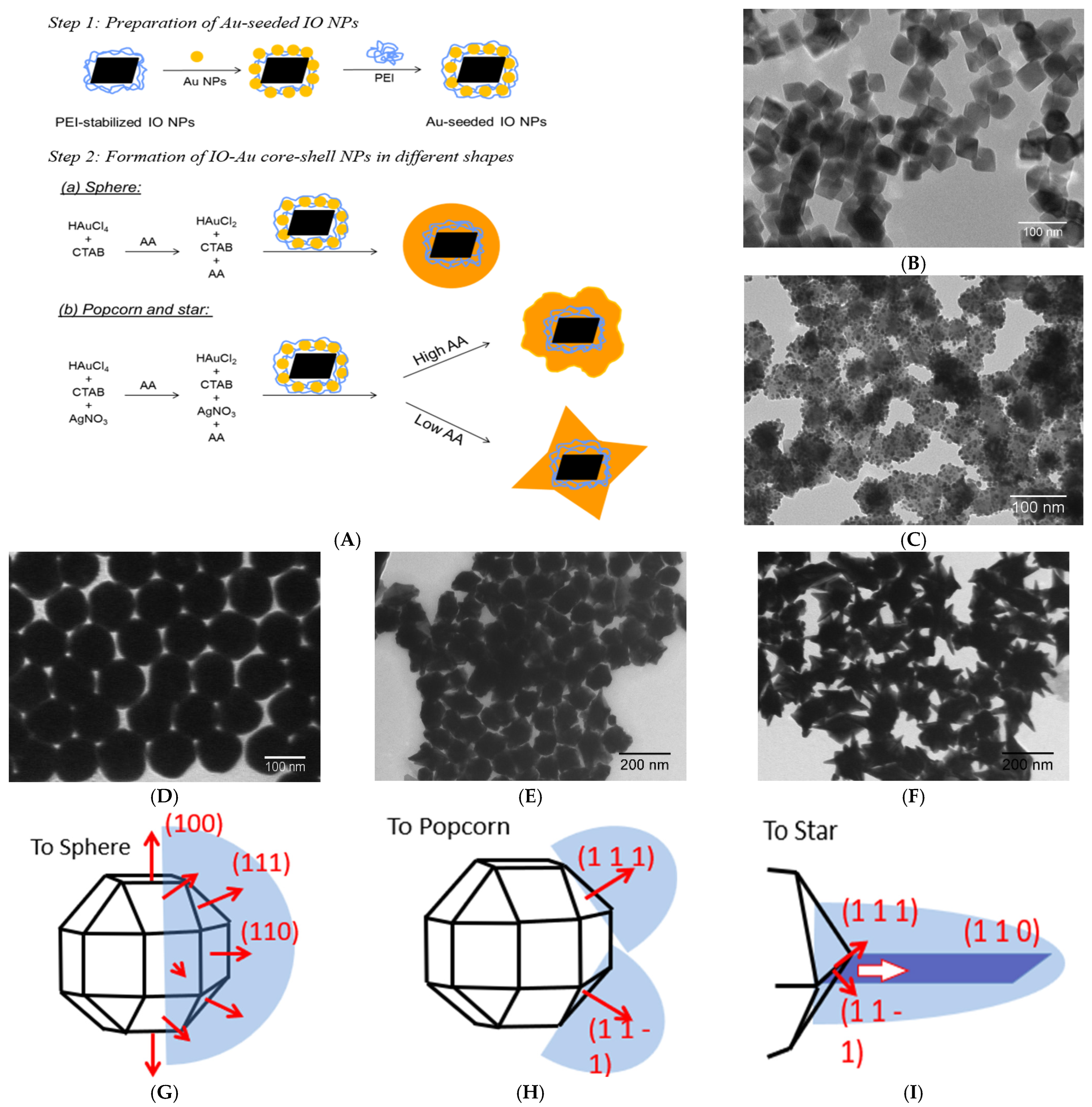 Nanomaterials 15 00264 g004