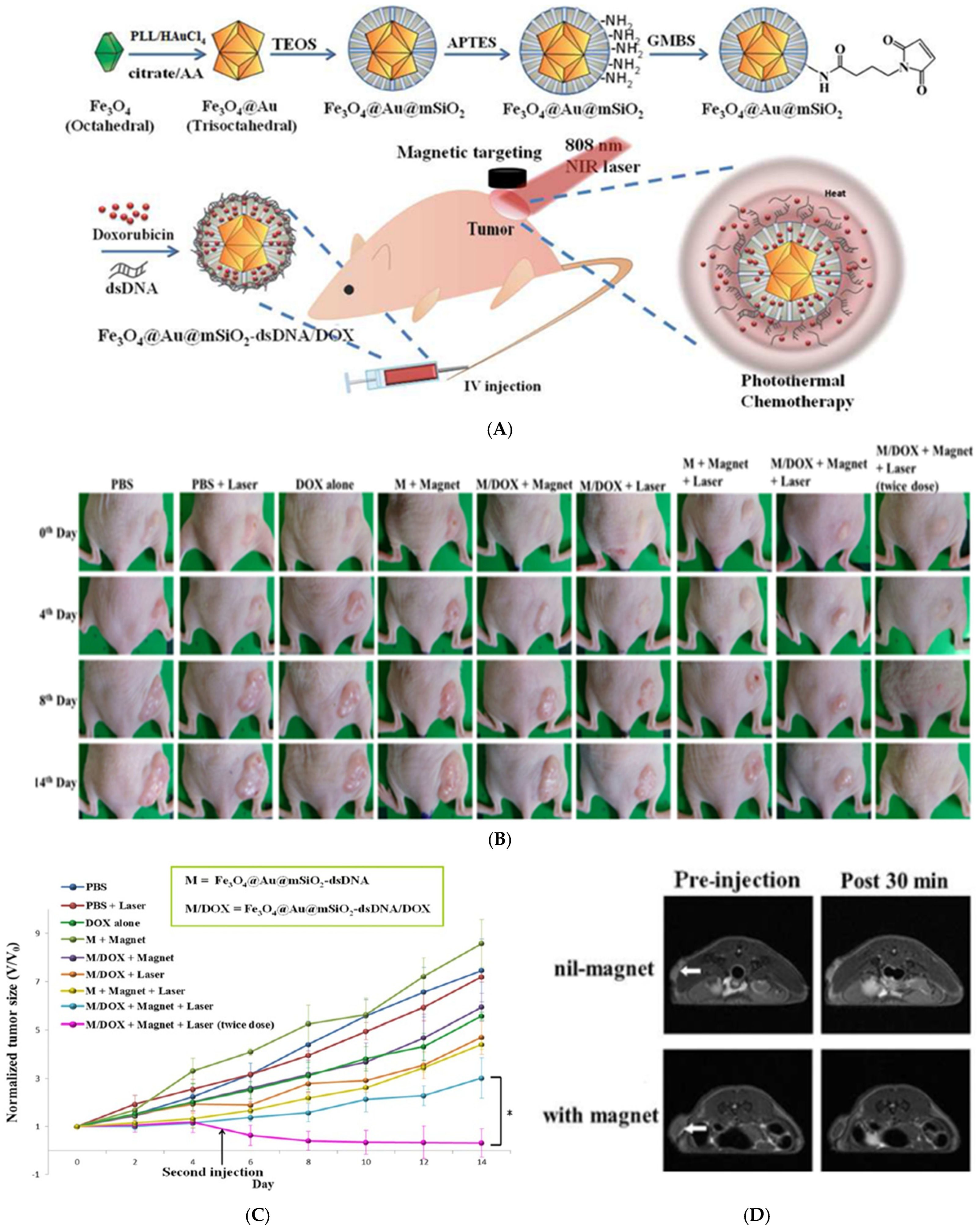 Nanomaterials 15 00264 g005