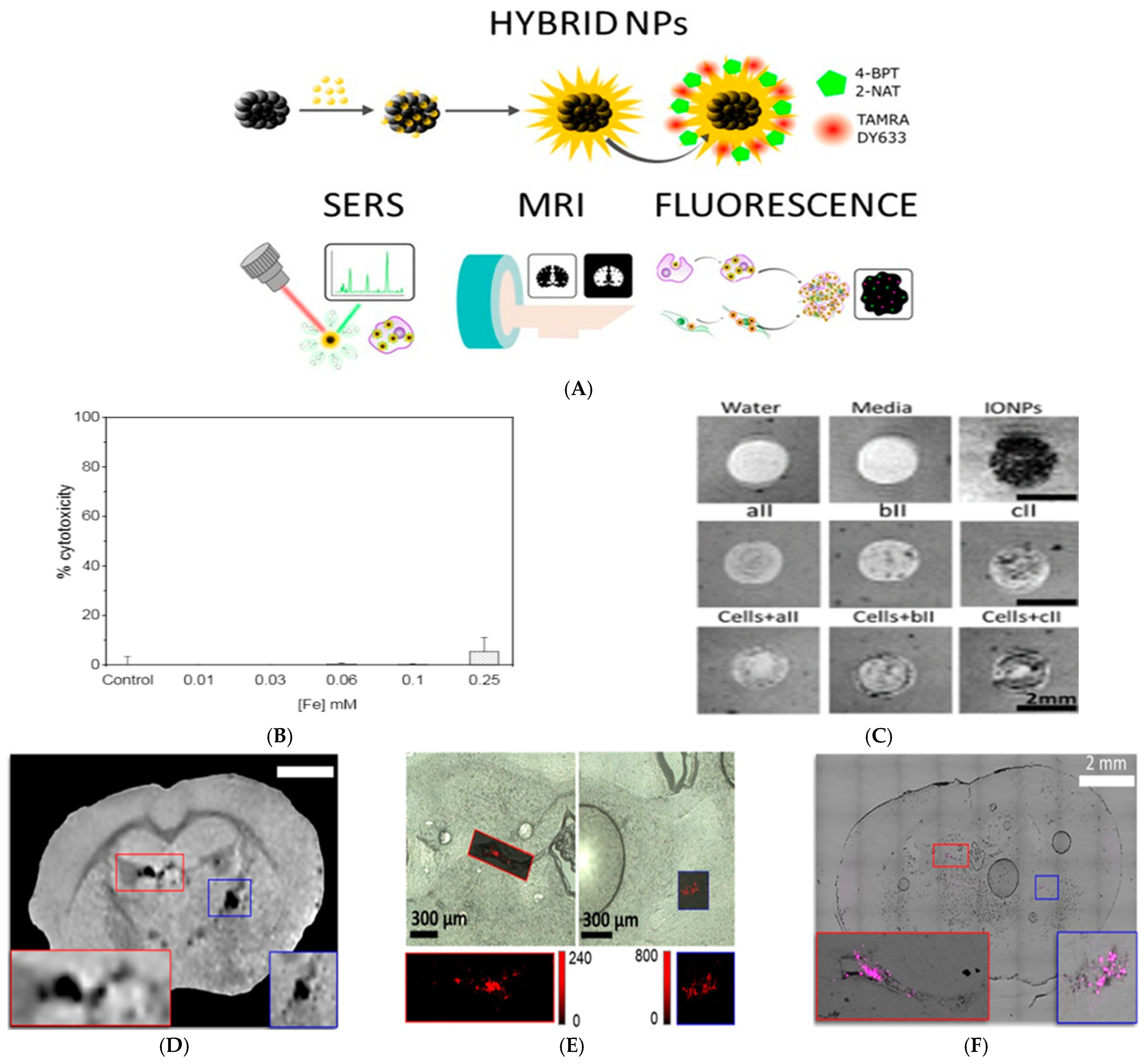 Nanomaterials 15 00264 g006