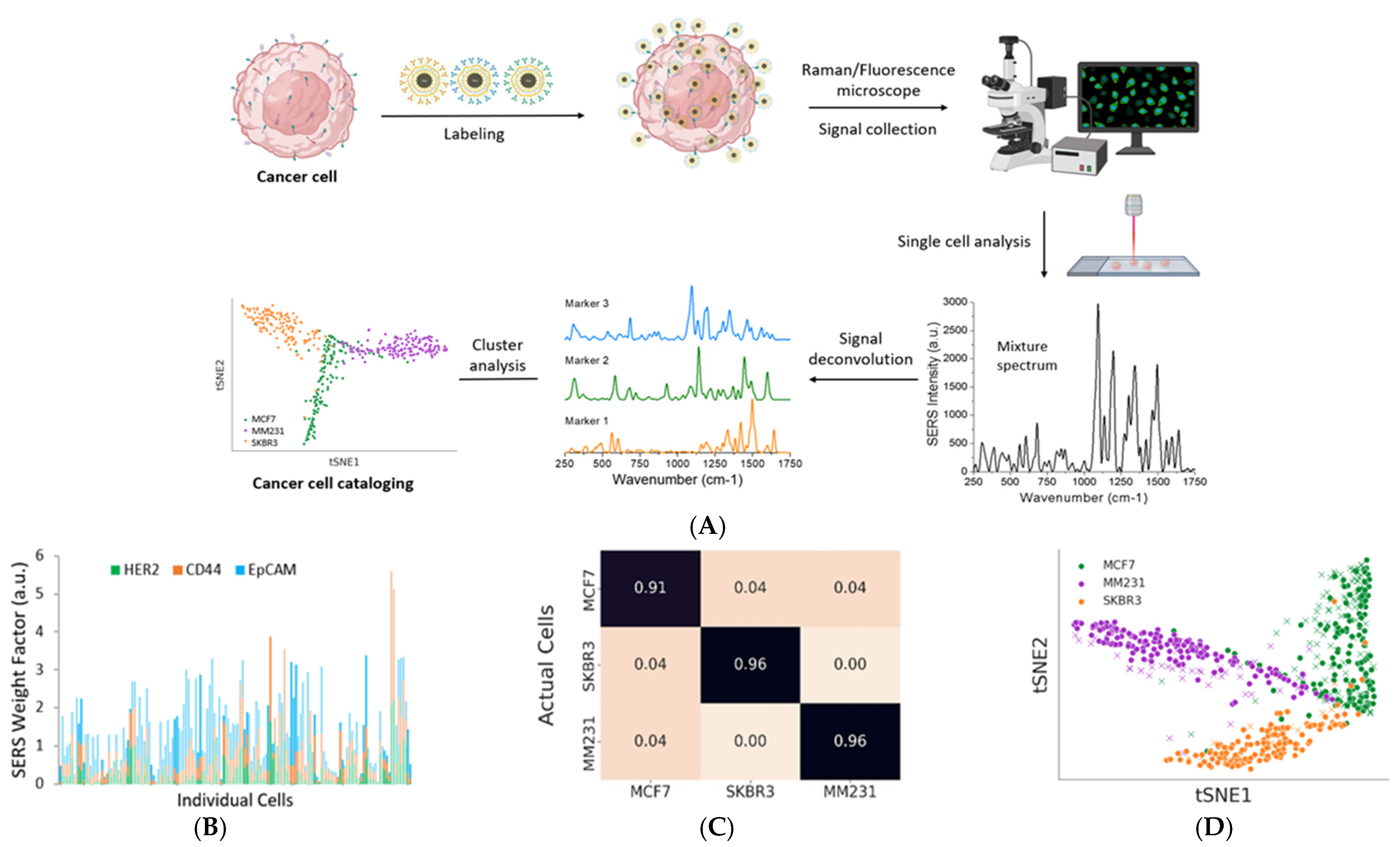 Nanomaterials 15 00264 g007a