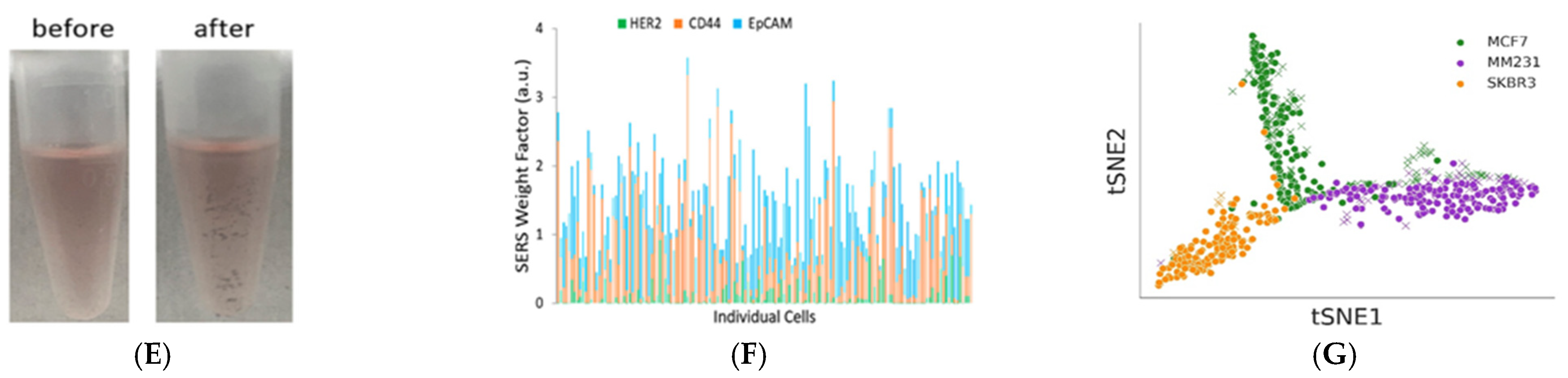 Nanomaterials 15 00264 g007b
