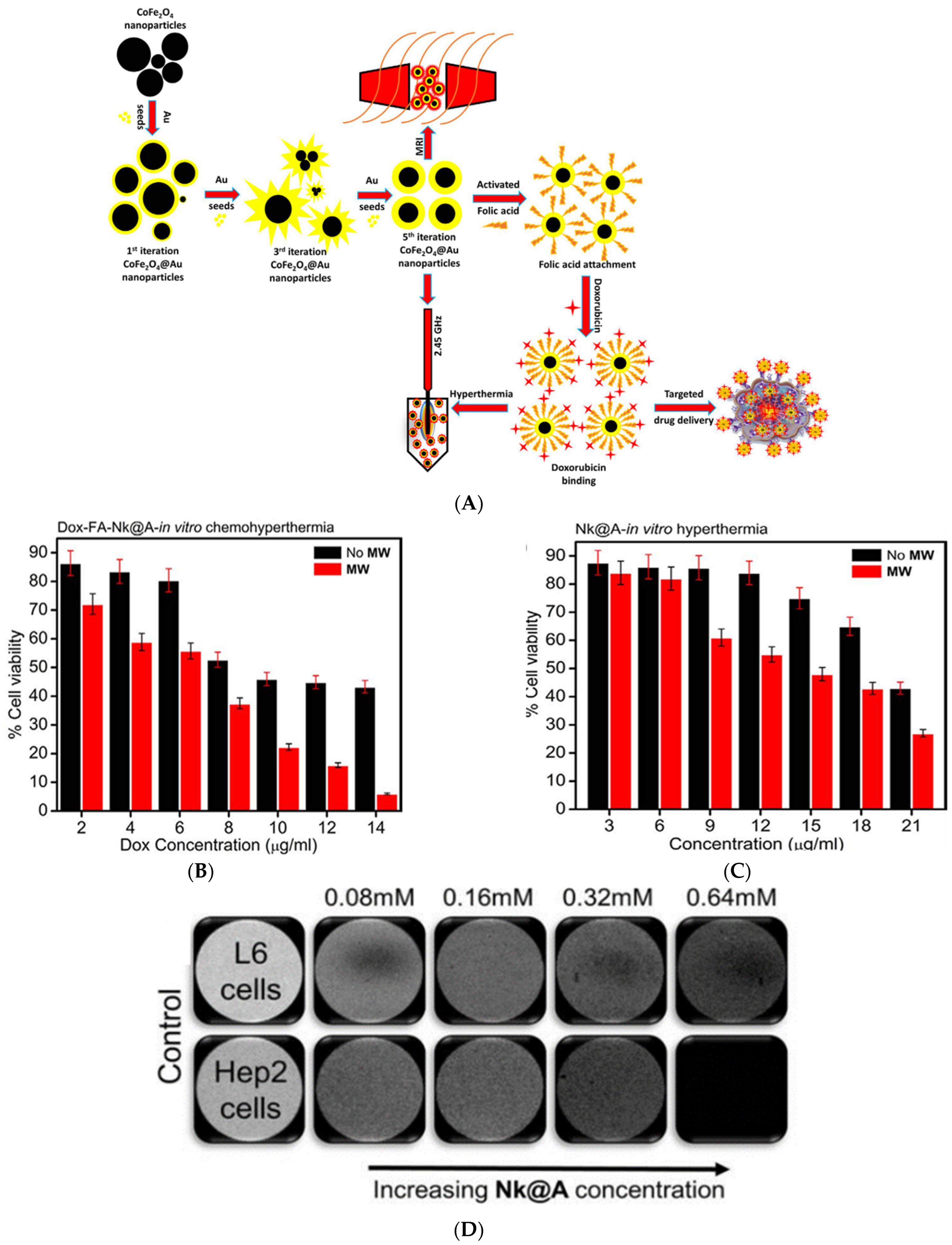 Nanomaterials 15 00264 g008