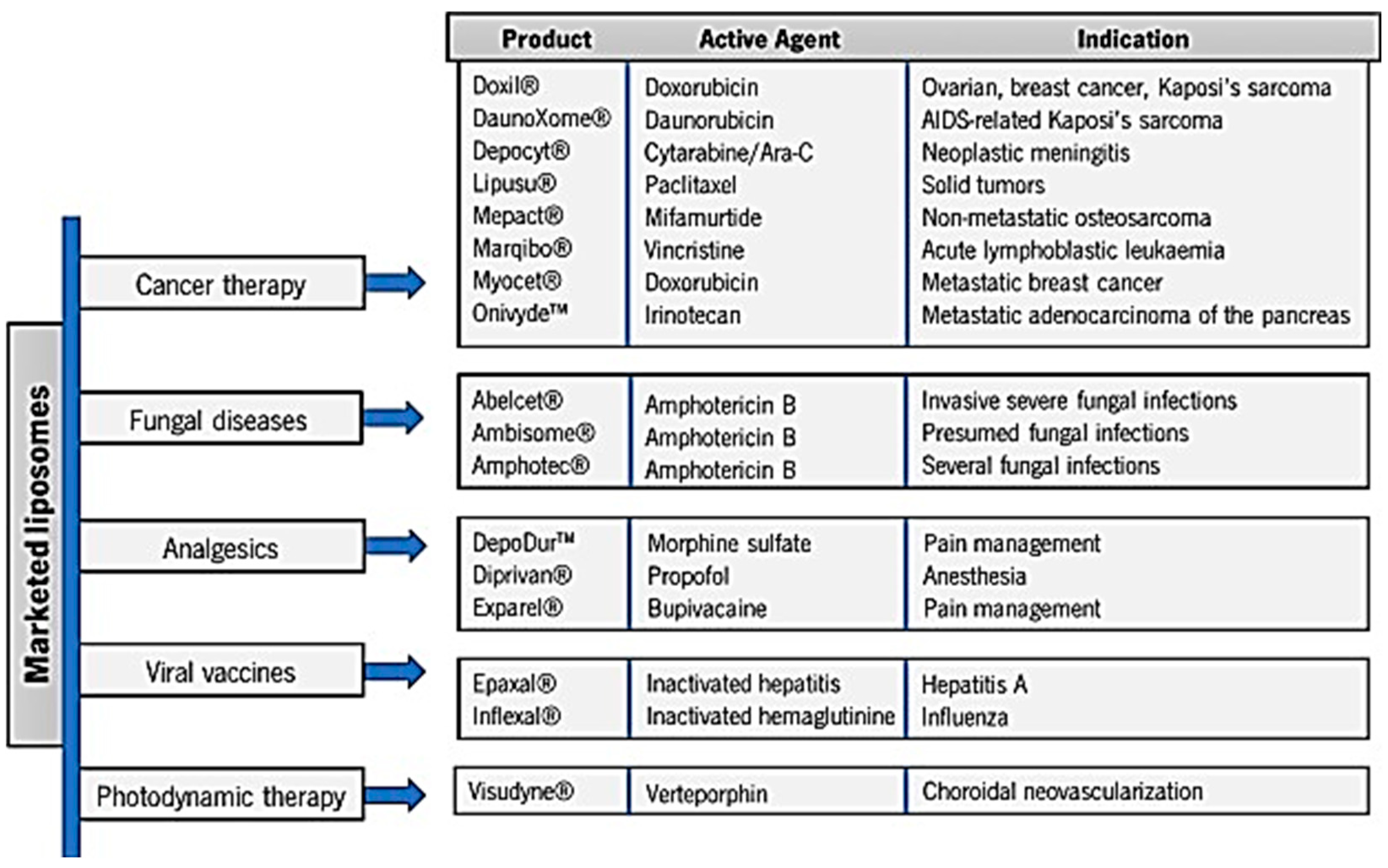 Nanomaterials 15 00265 g005 Nanomaterials 15 00265 g005