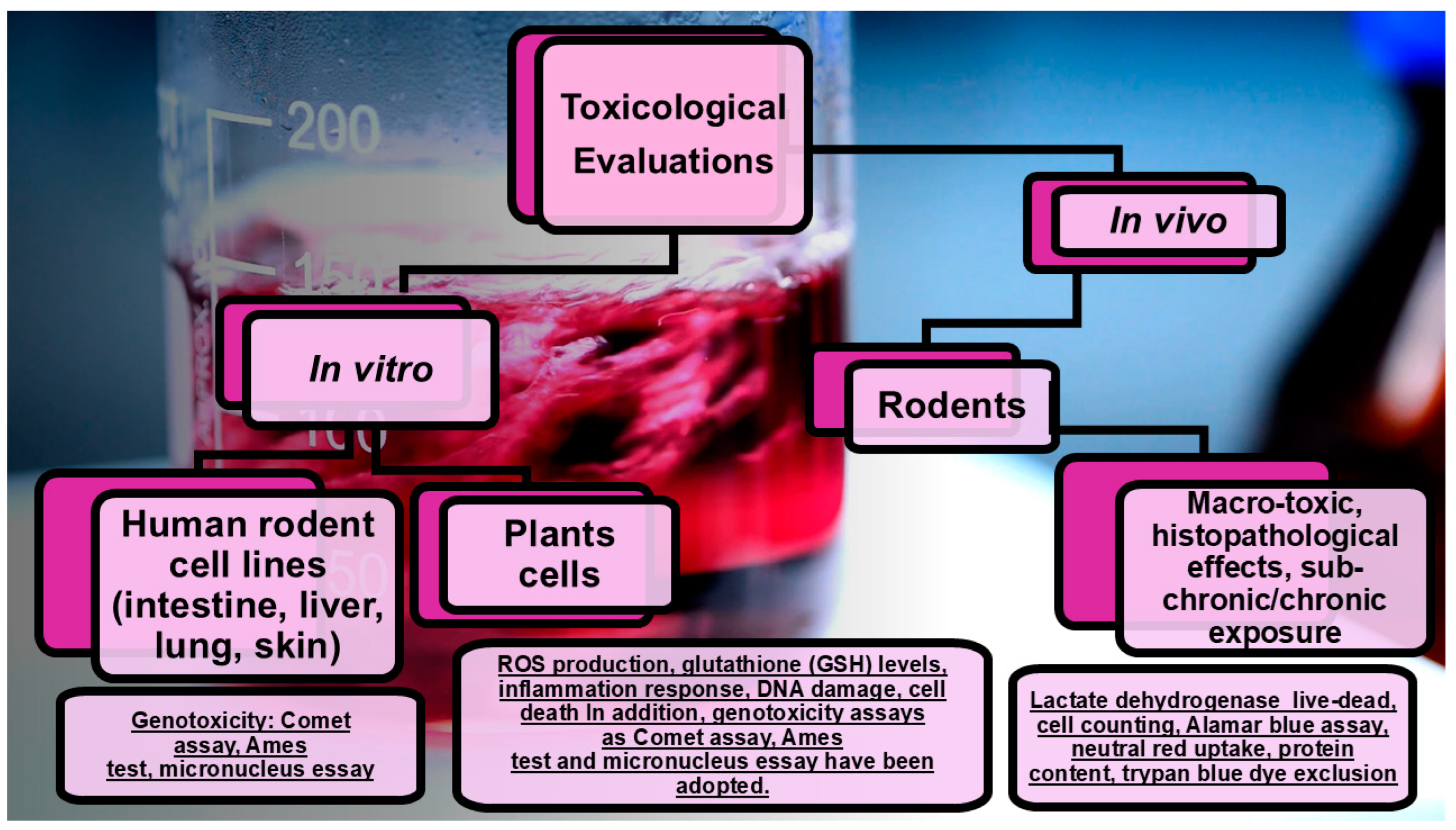 Nanomaterials 15 00265 g006 Nanomaterials 15 00265 g006