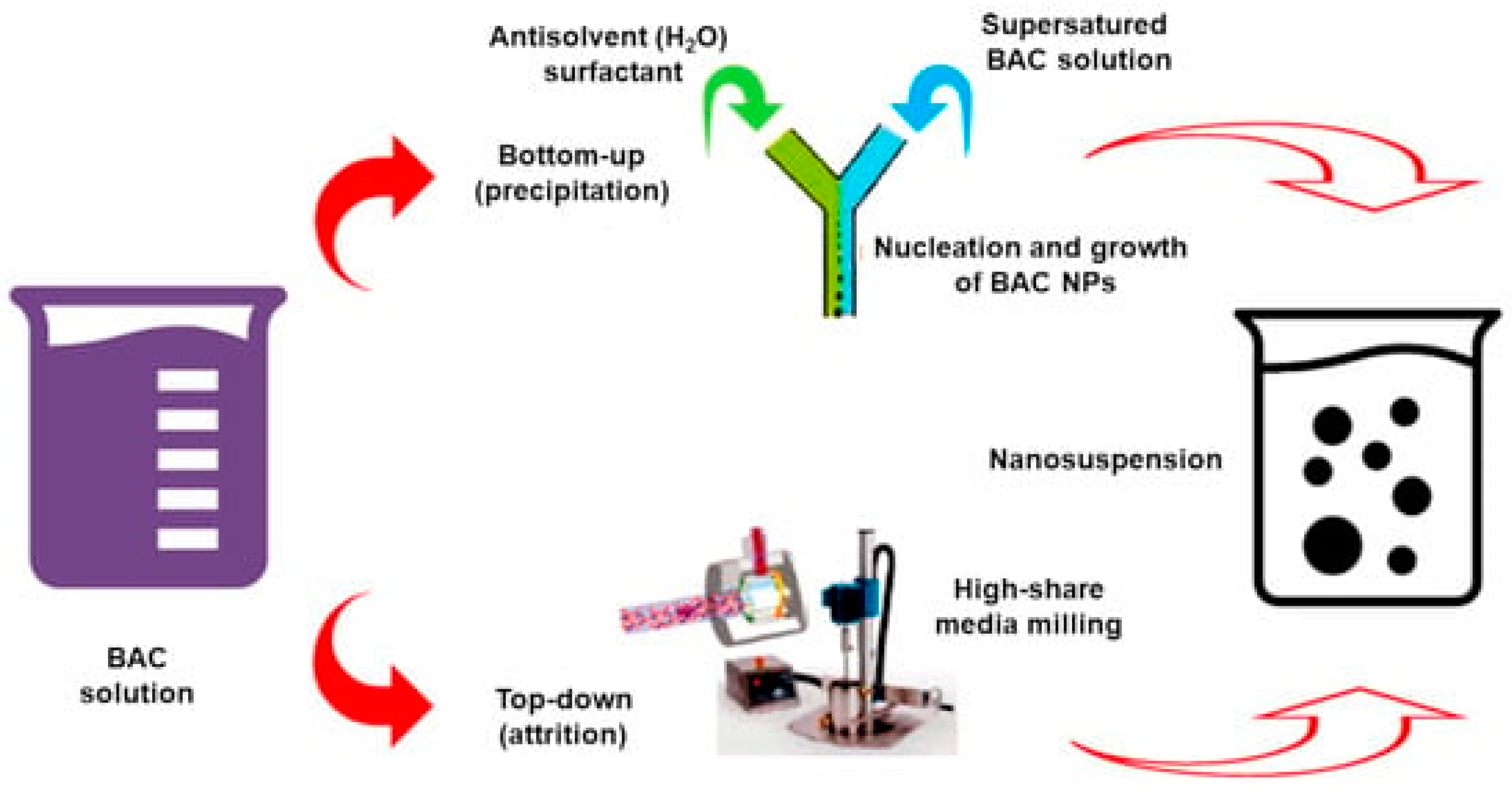Nanomaterials 15 00265 g0a1 Nanomaterials 15 00265 g0a1