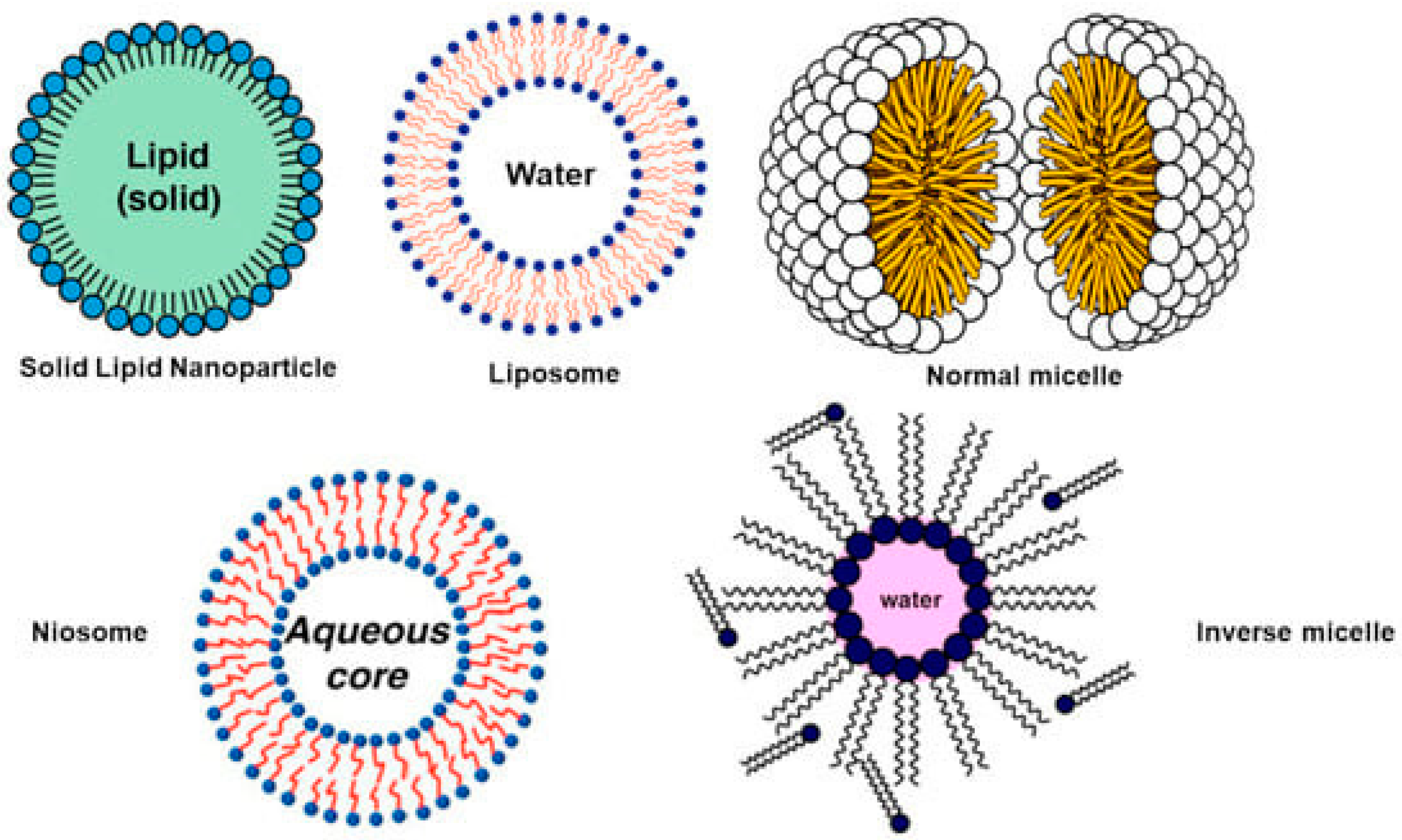 Nanomaterials 15 00265 g0a3 Nanomaterials 15 00265 g0a3