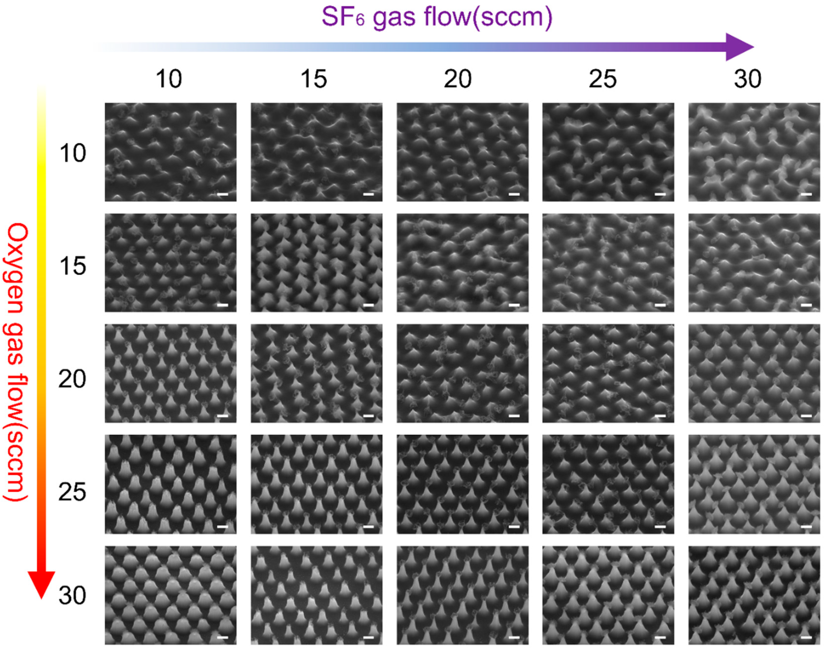 Nanomaterials 15 00266 g005 Nanomaterials 15 00266 g005