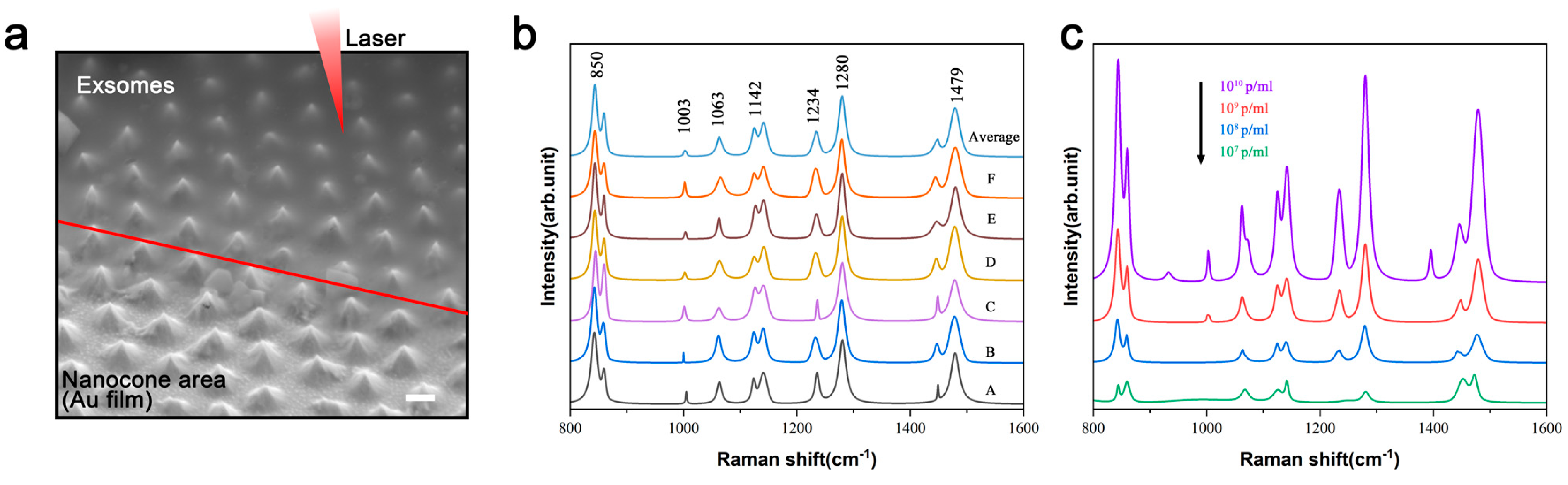 Nanomaterials 15 00266 g007 Nanomaterials 15 00266 g007