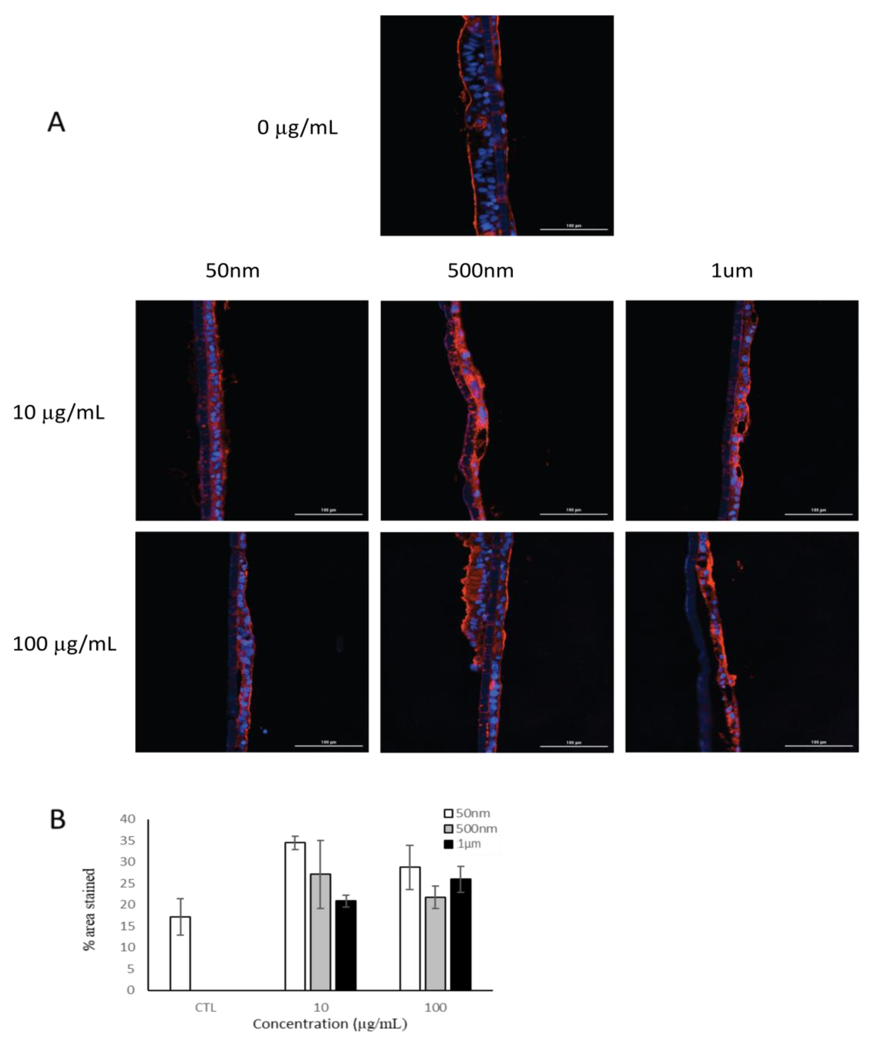 Nanomaterials 15 00267 g005