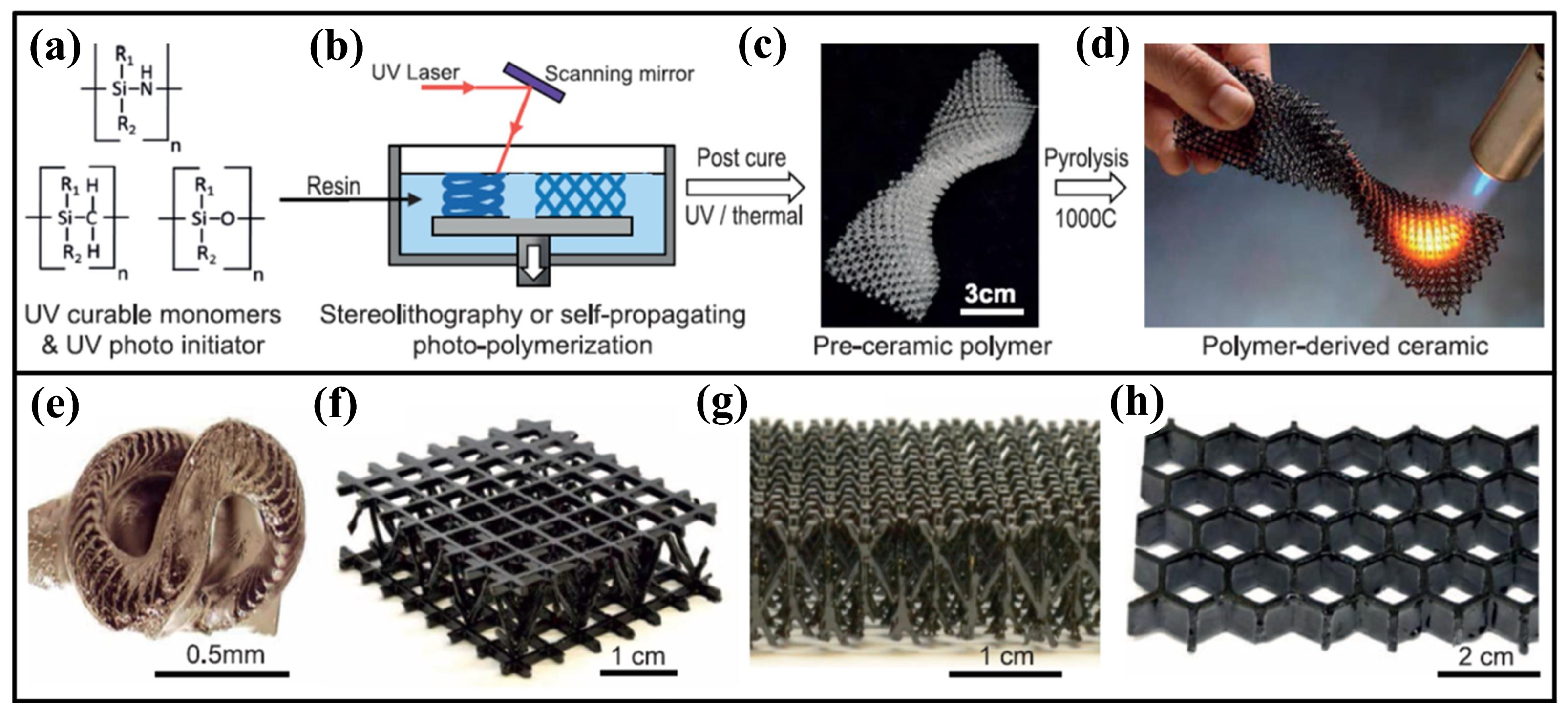 Nanomaterials 15 00268 g011