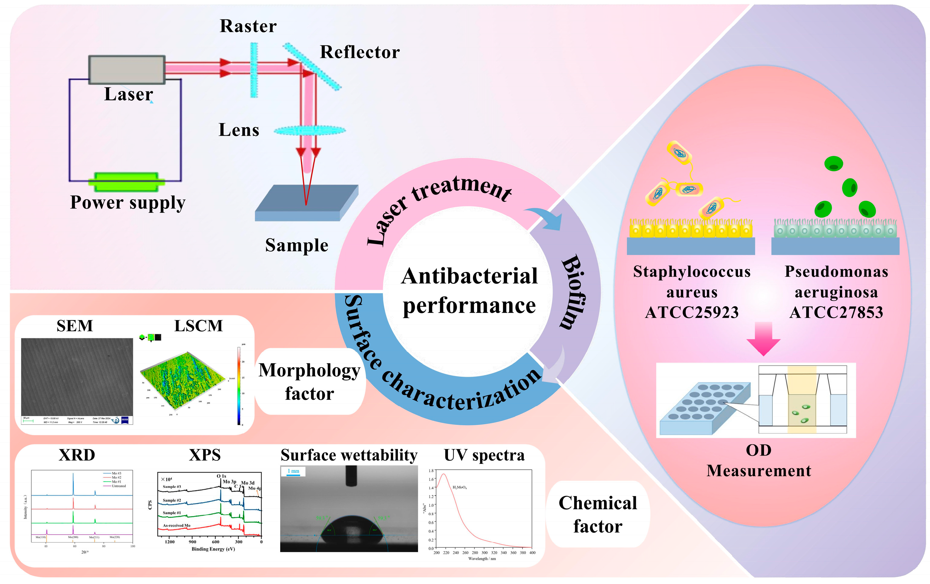 Nanomaterials 15 00269 g004