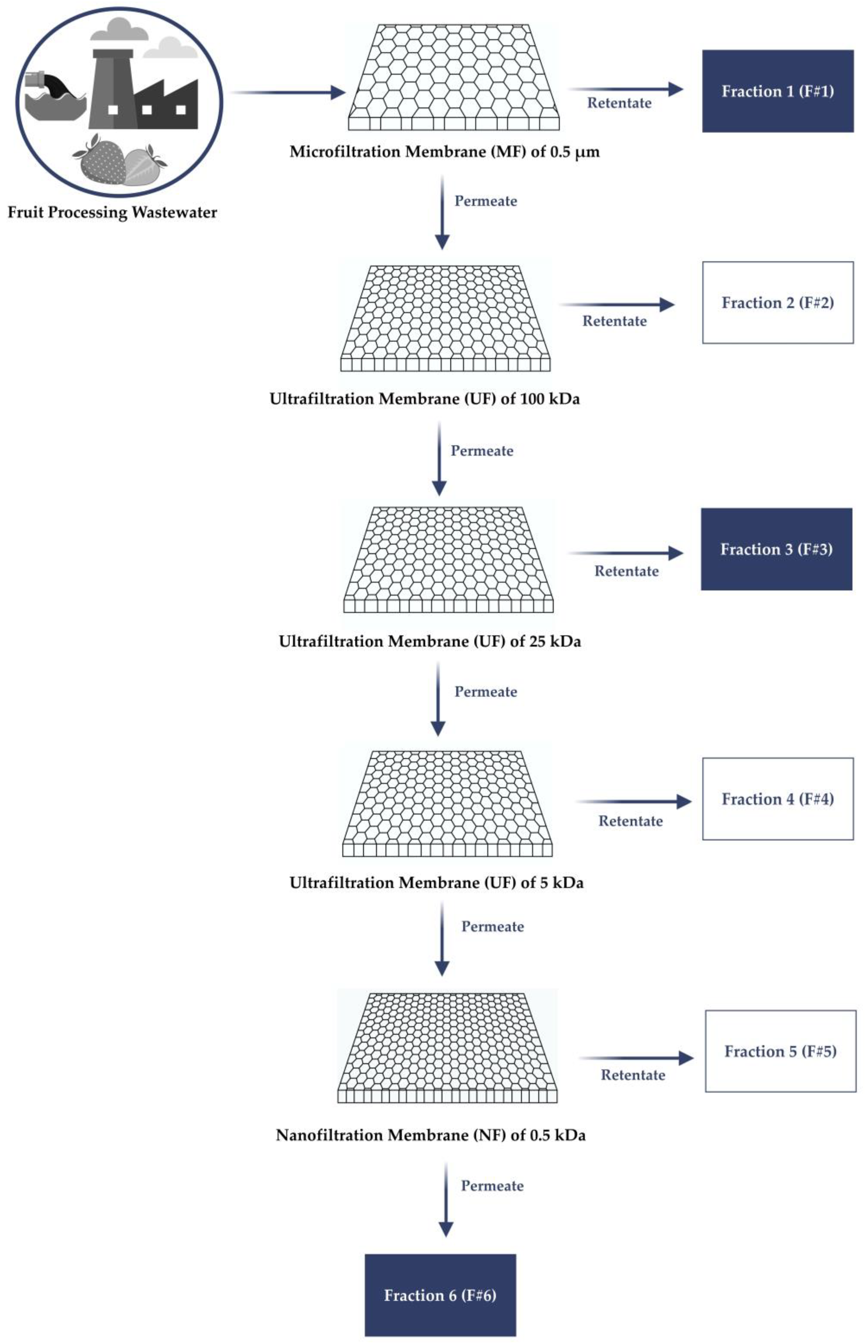 Nanomaterials 15 00271 g001
