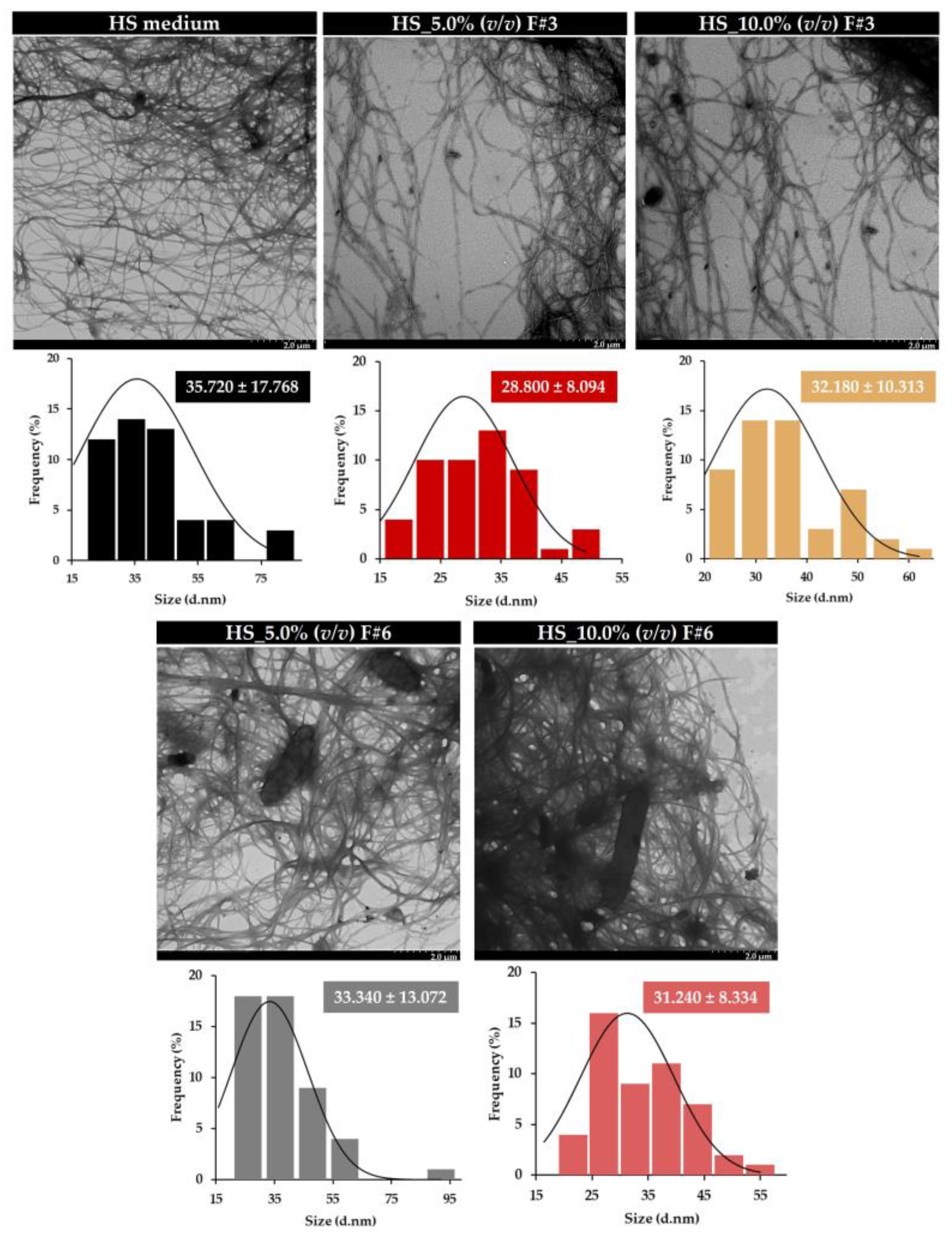 Nanomaterials 15 00271 g004