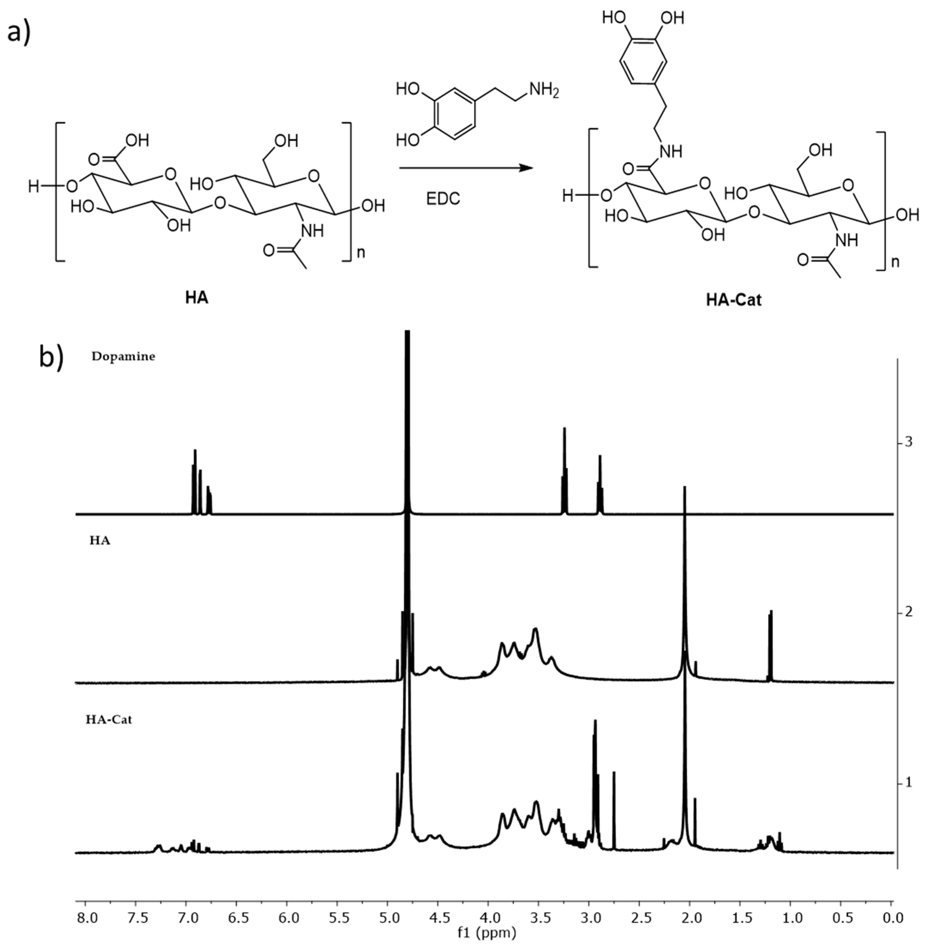 Nanomaterials 15 00276 g005