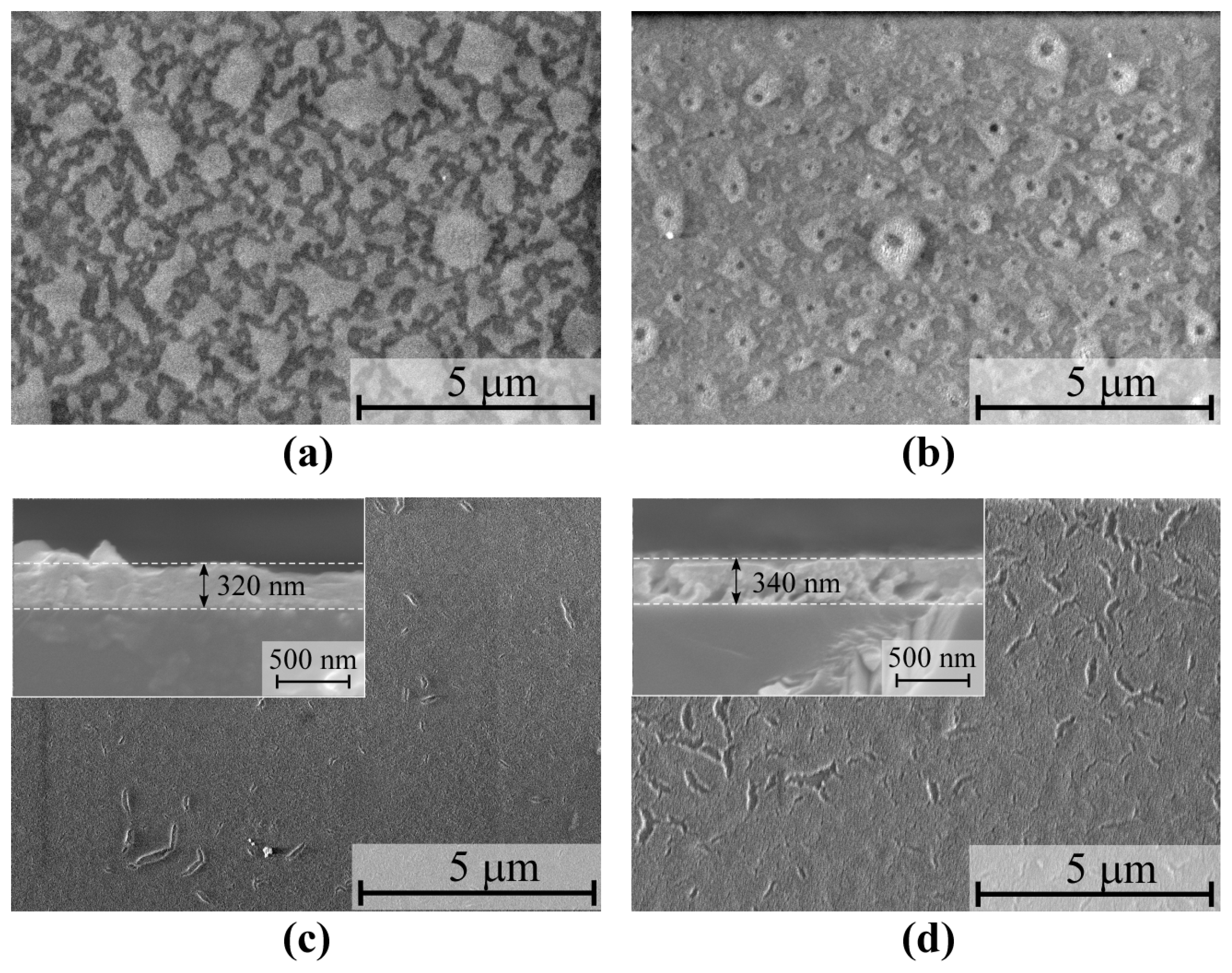 Nanomaterials 15 00277 g004