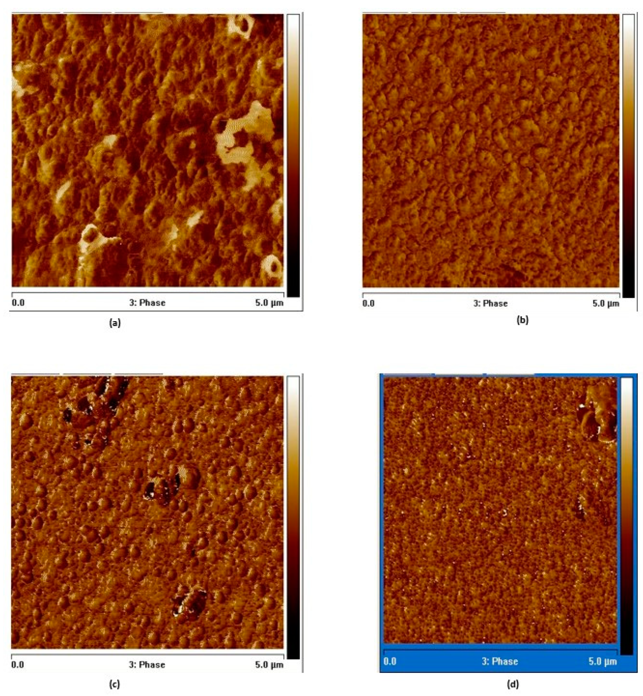 Nanomaterials 15 00278 g015