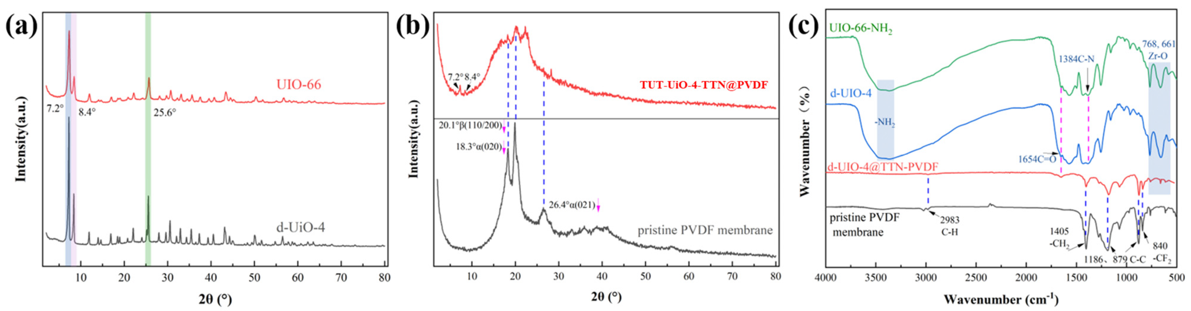 Nanomaterials 15 00279 g004