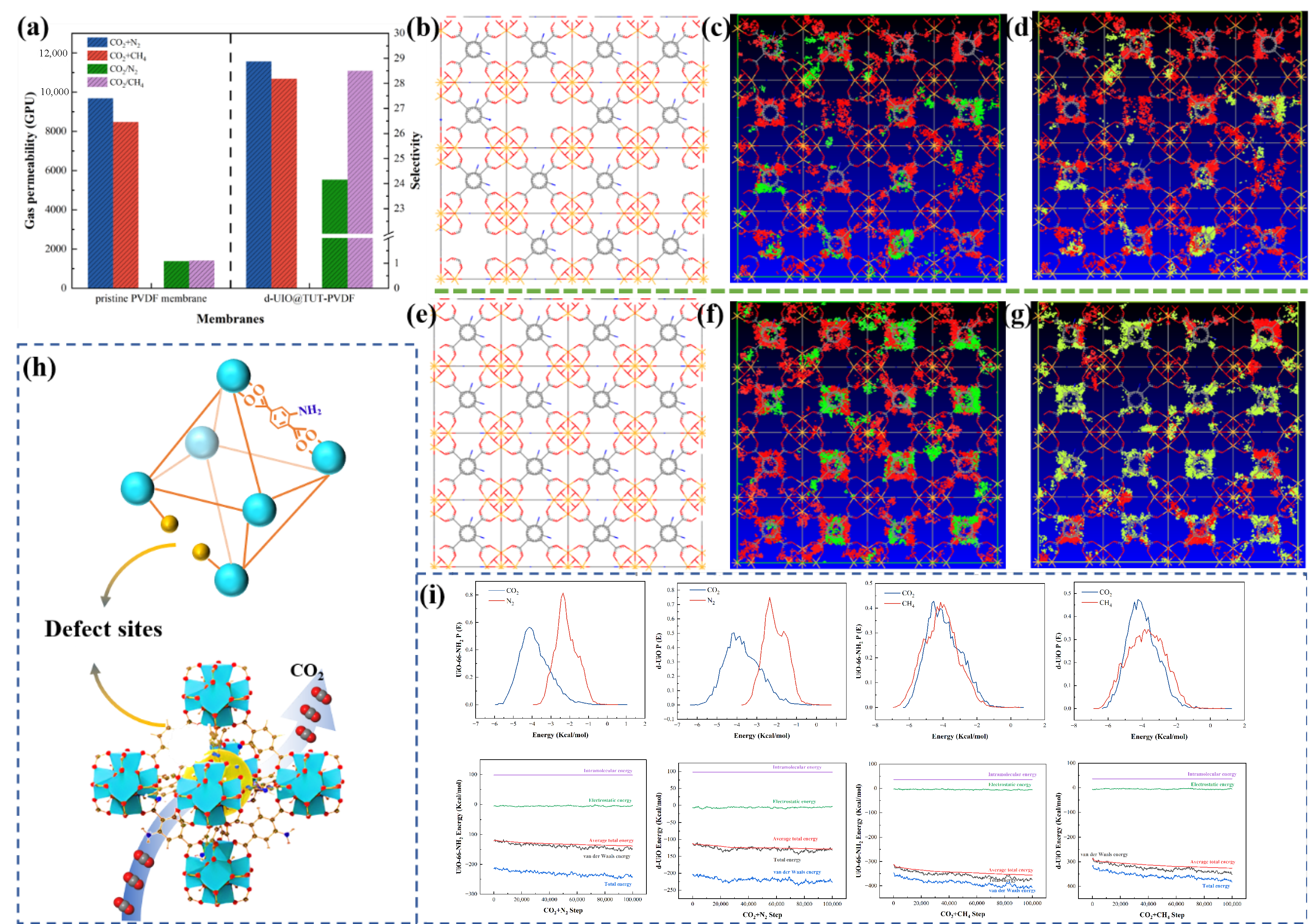 Nanomaterials 15 00279 g010