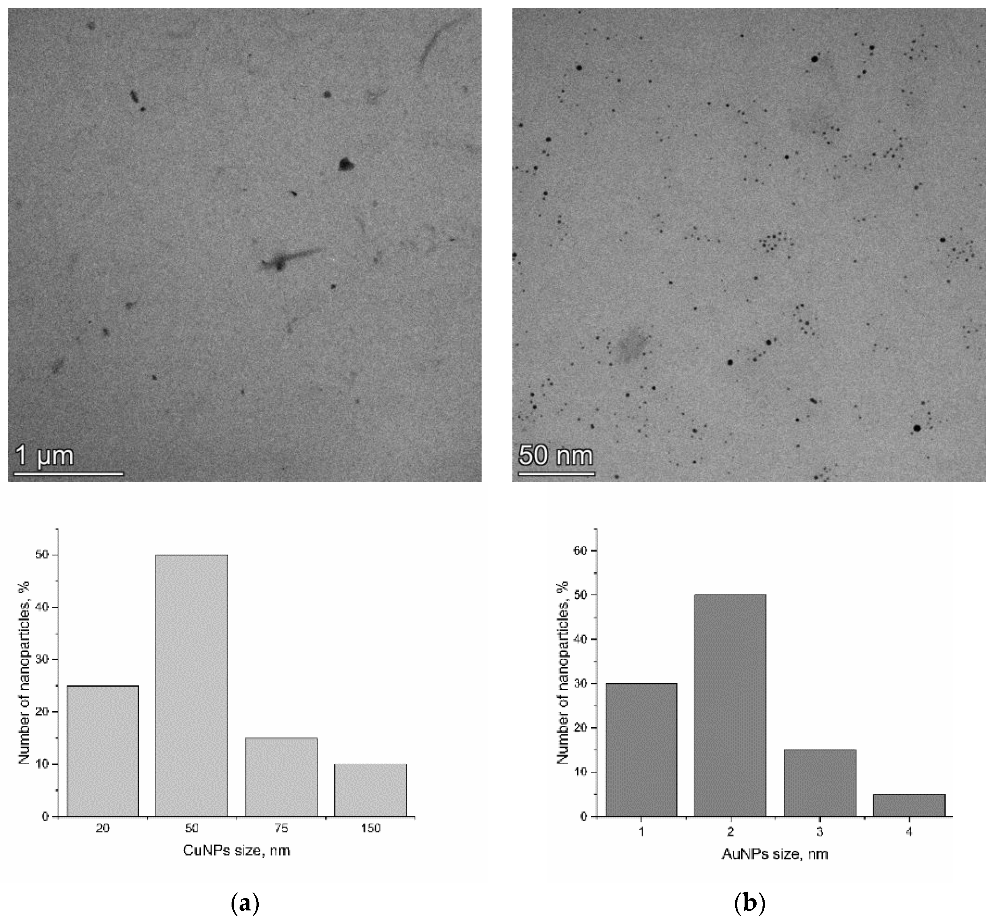 Nanomaterials 15 00280 g001
