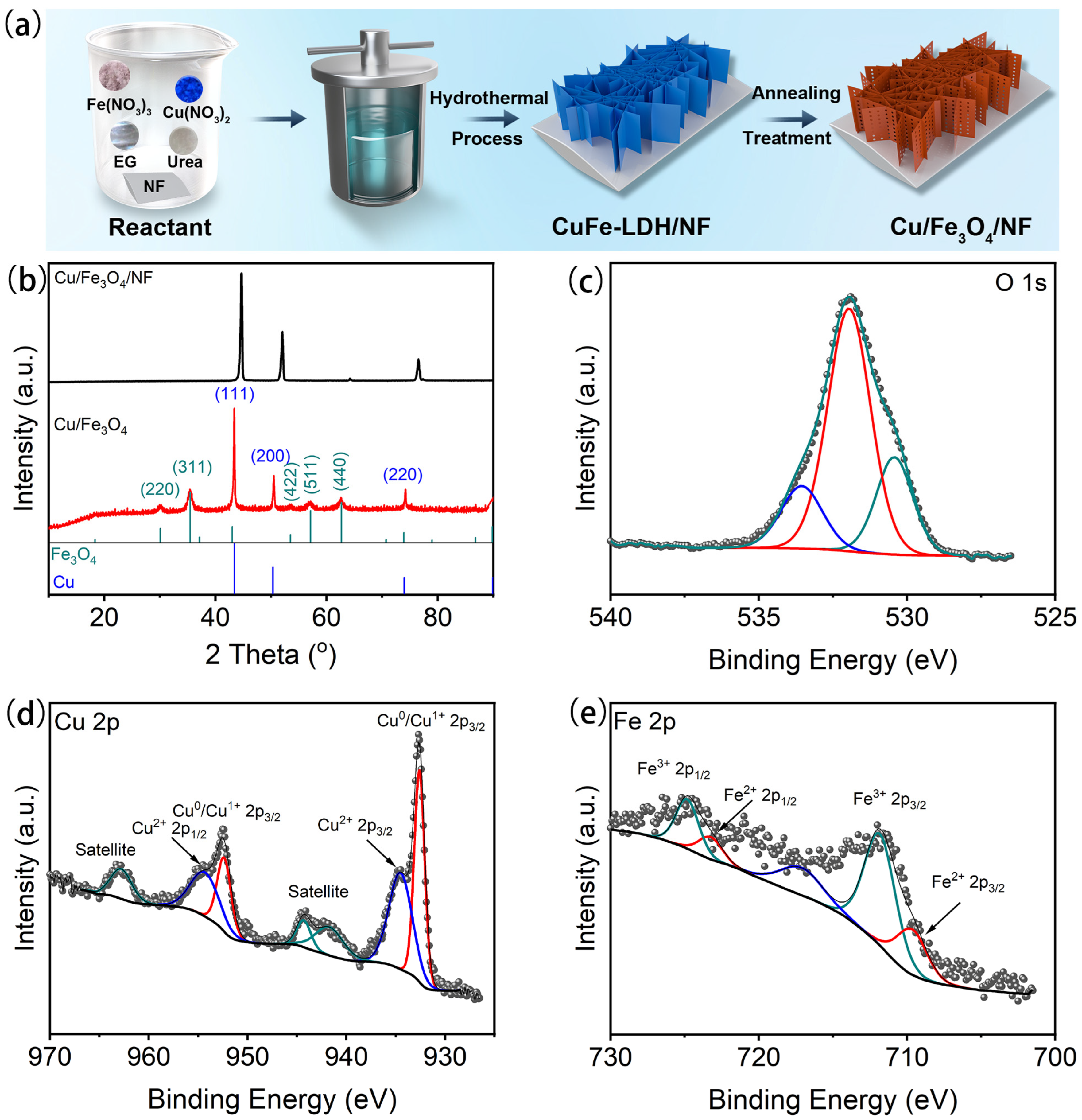 Nanomaterials 15 00281 g001