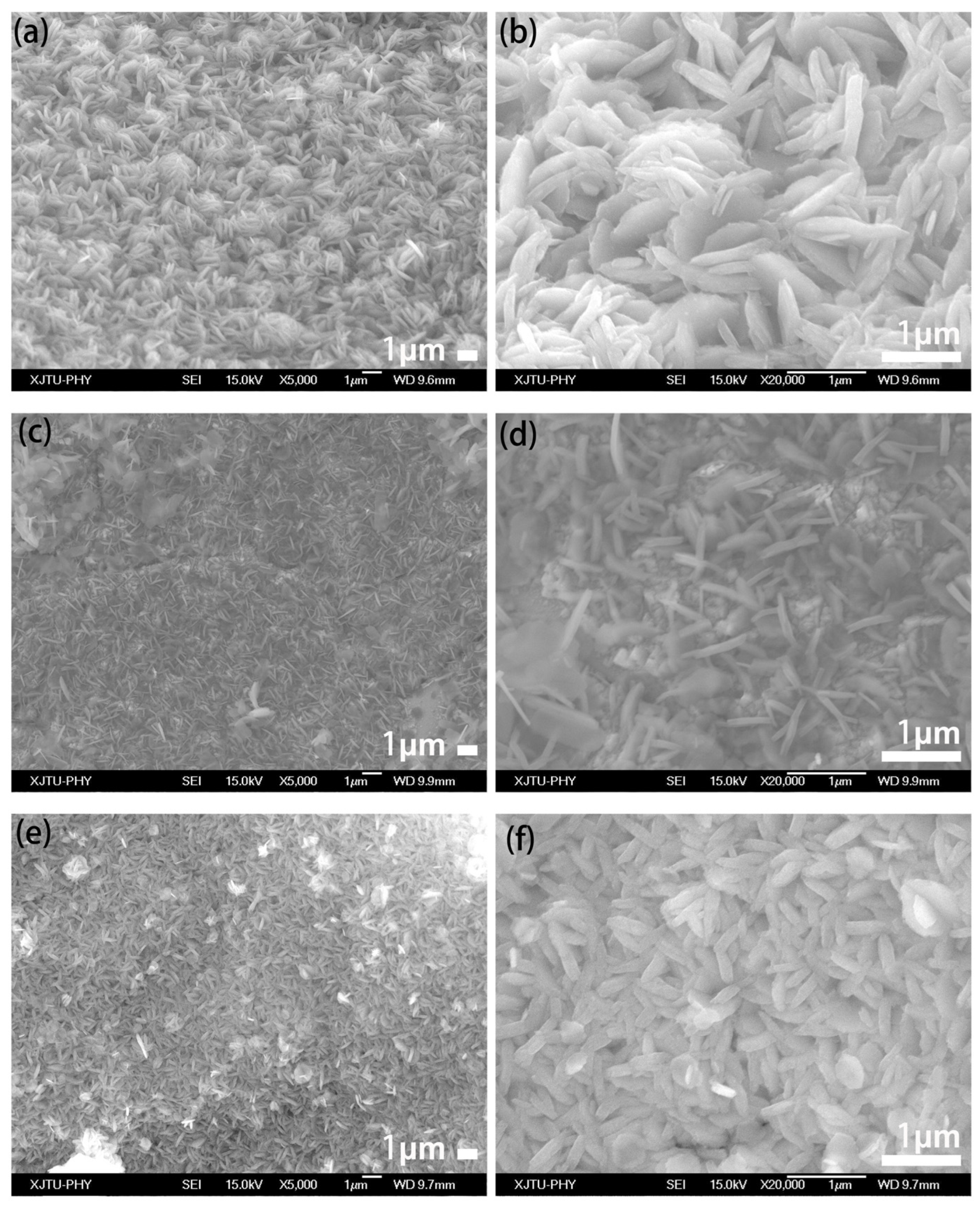 Nanomaterials 15 00281 g002