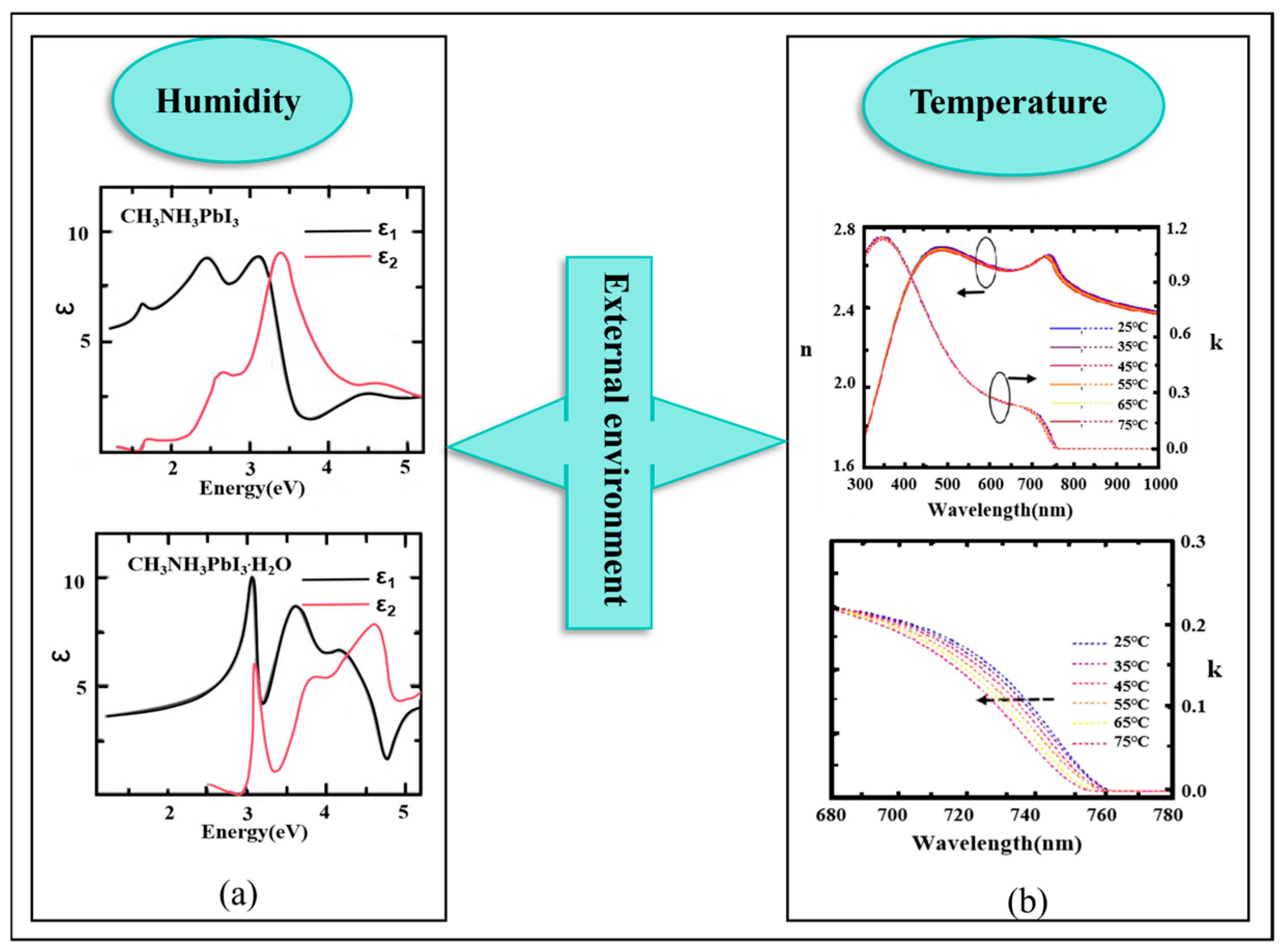 Nanomaterials 15 00282 g012