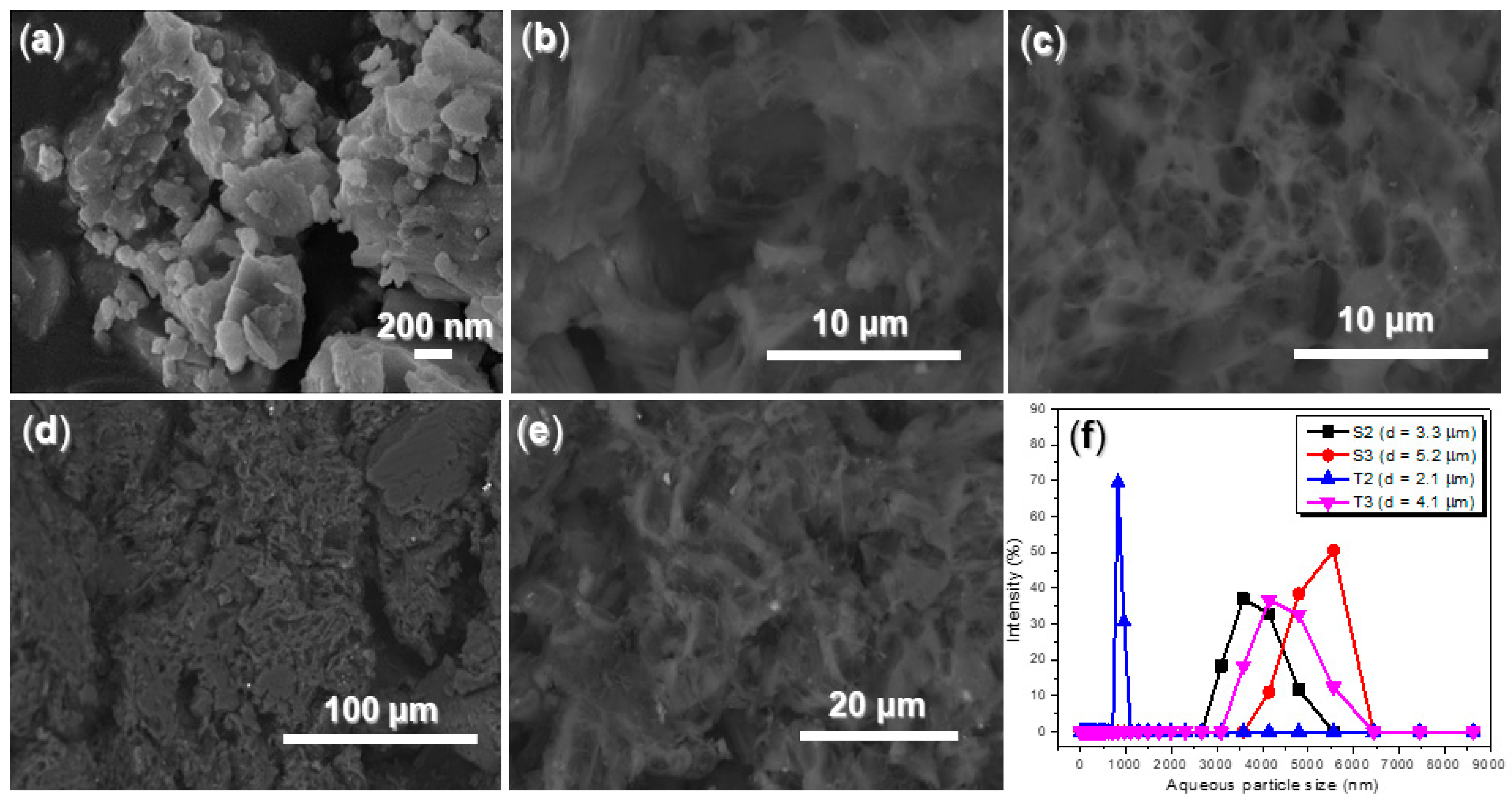 Nanomaterials 15 00283 g006