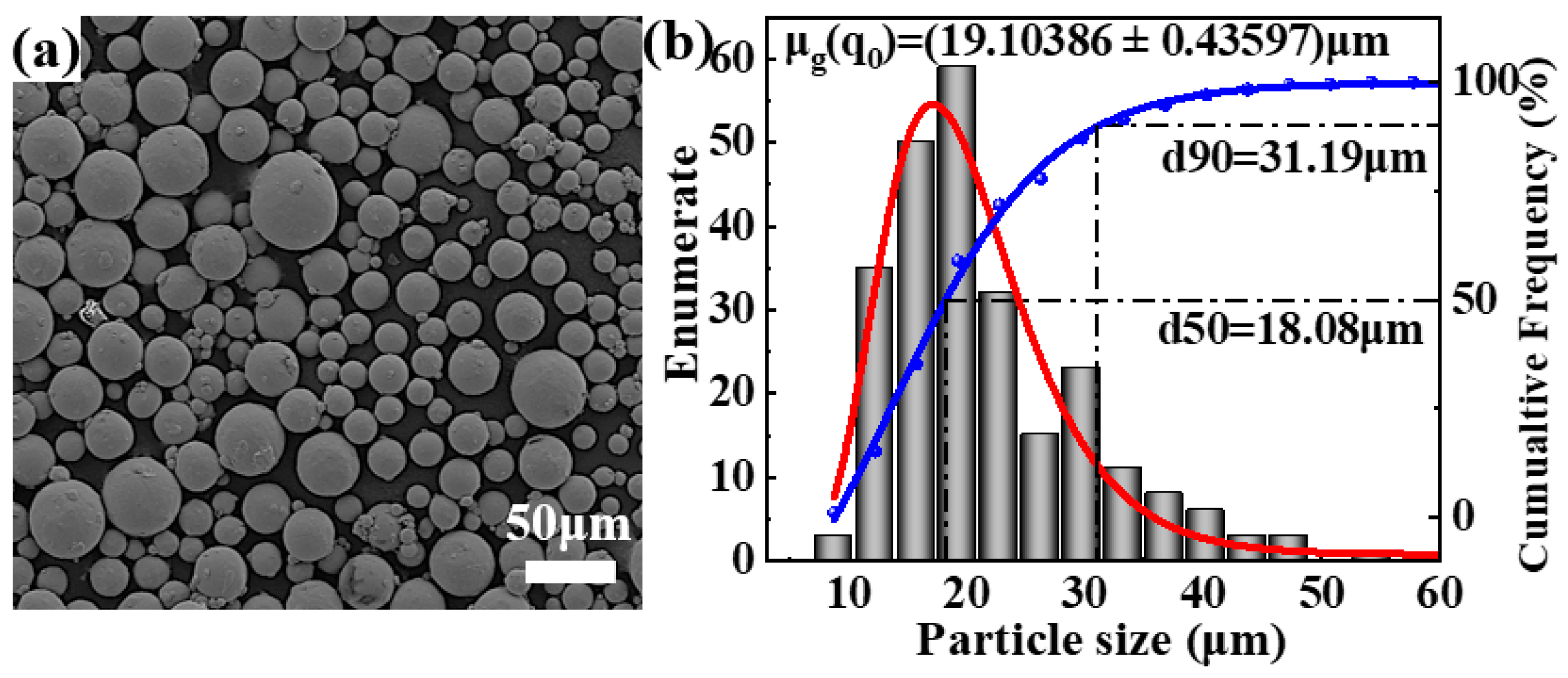 Nanomaterials 15 00293 g001
