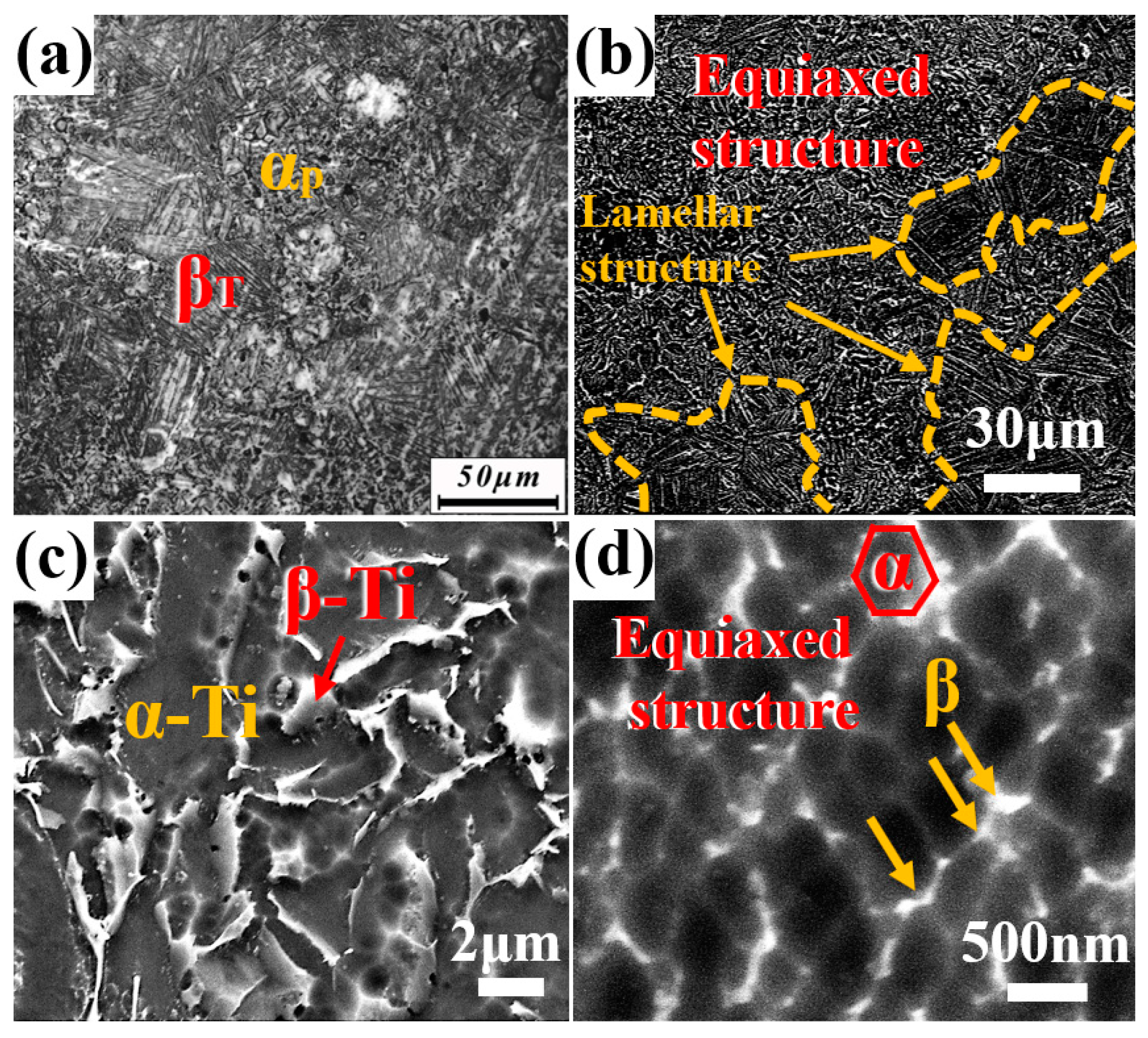Nanomaterials 15 00293 g004