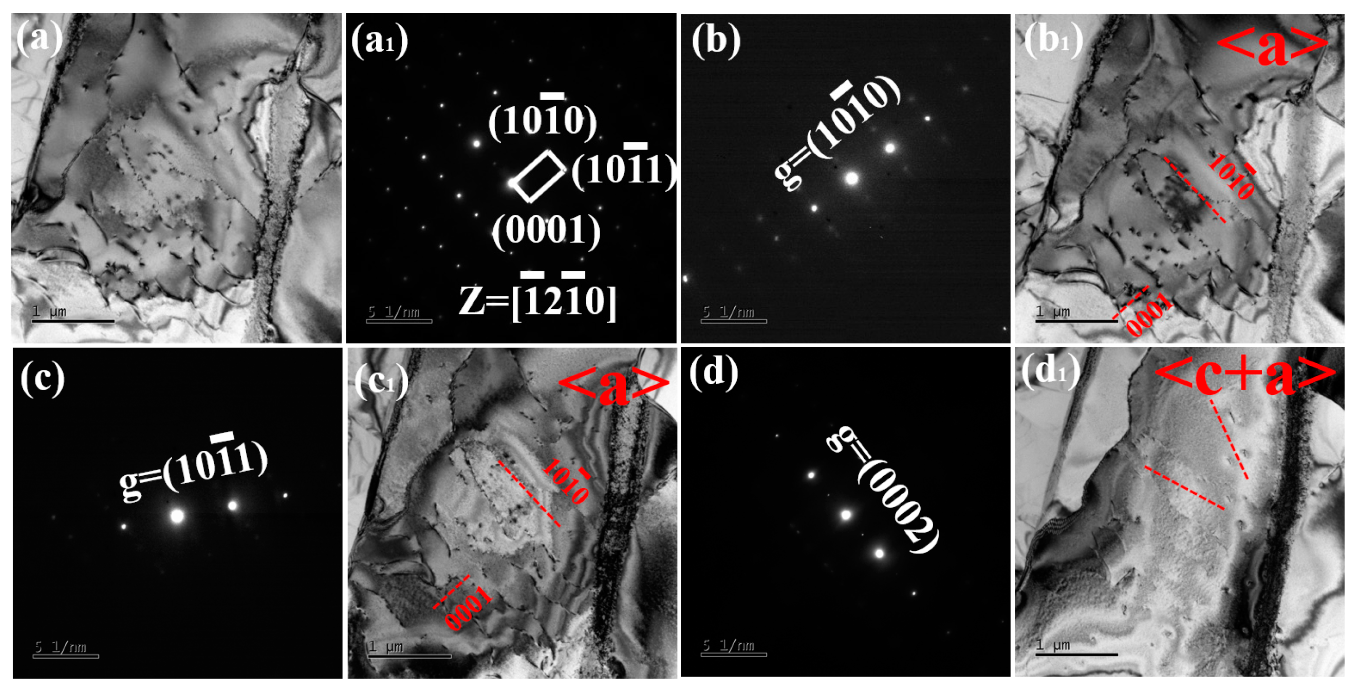 Nanomaterials 15 00293 g007