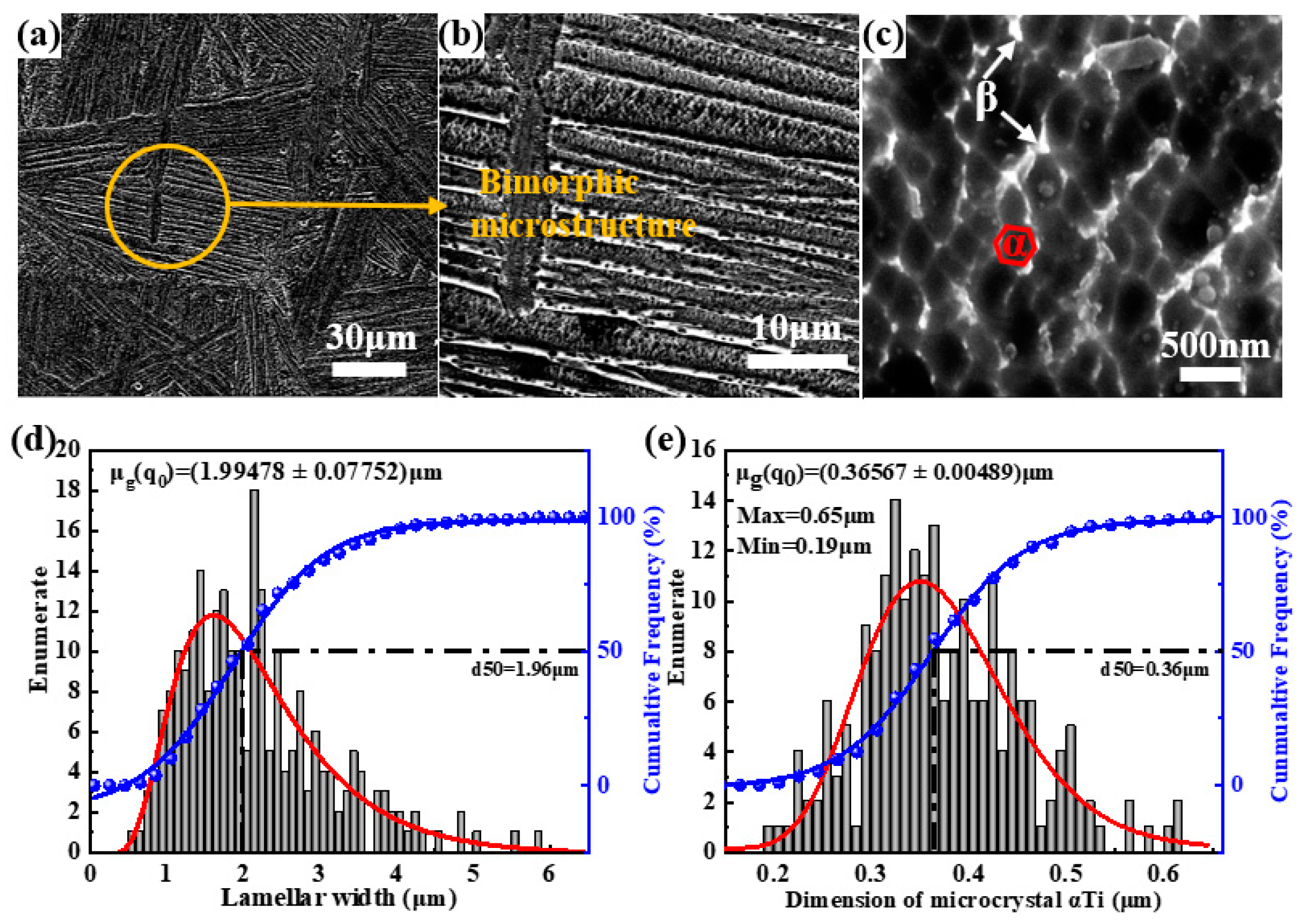 Nanomaterials 15 00293 g008