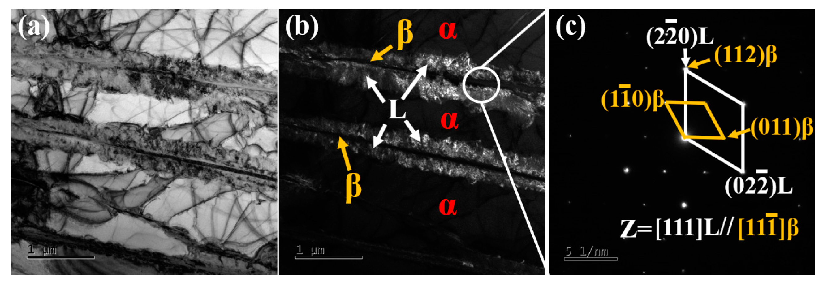 Nanomaterials 15 00293 g009