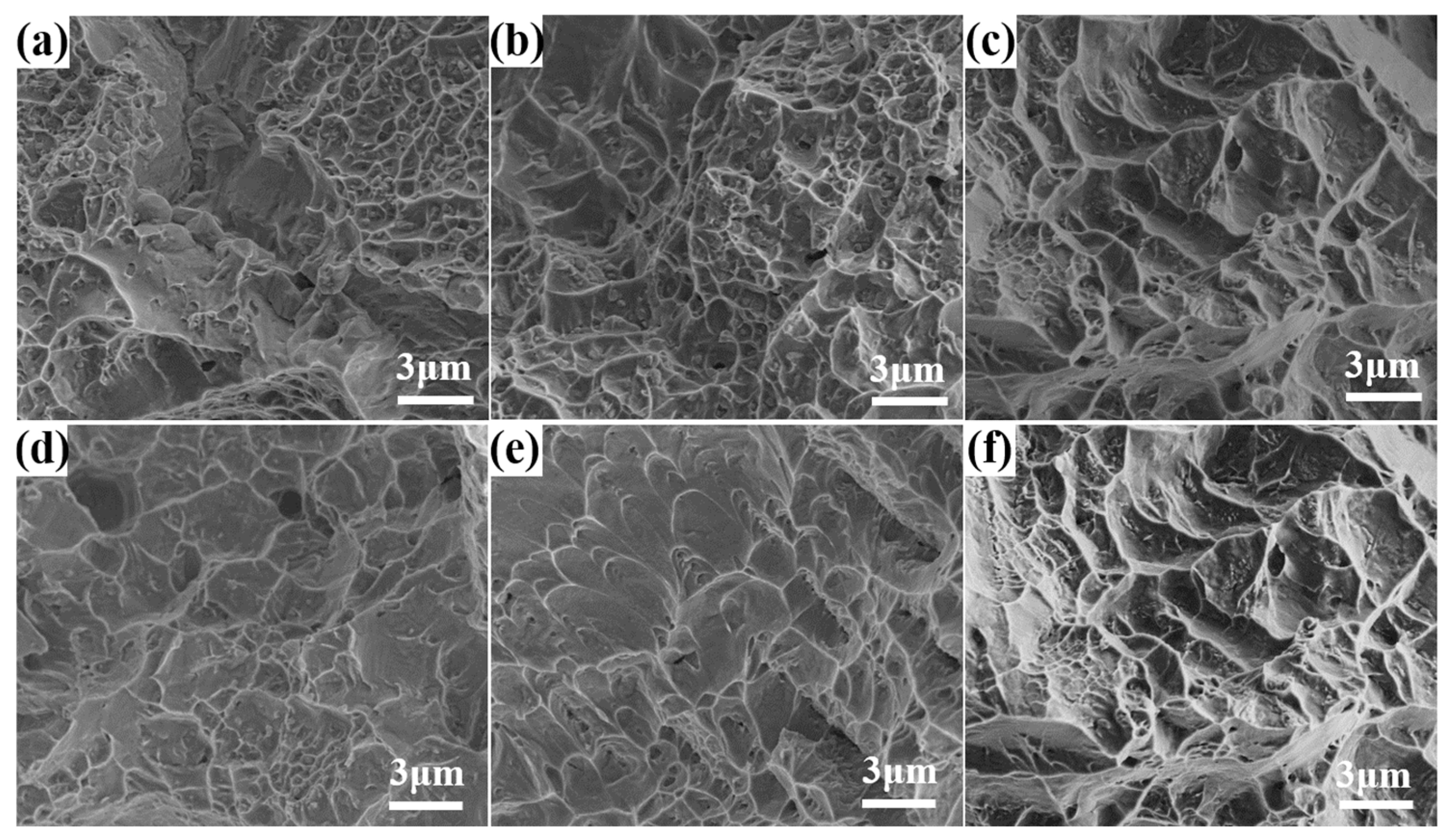 Nanomaterials 15 00293 g012