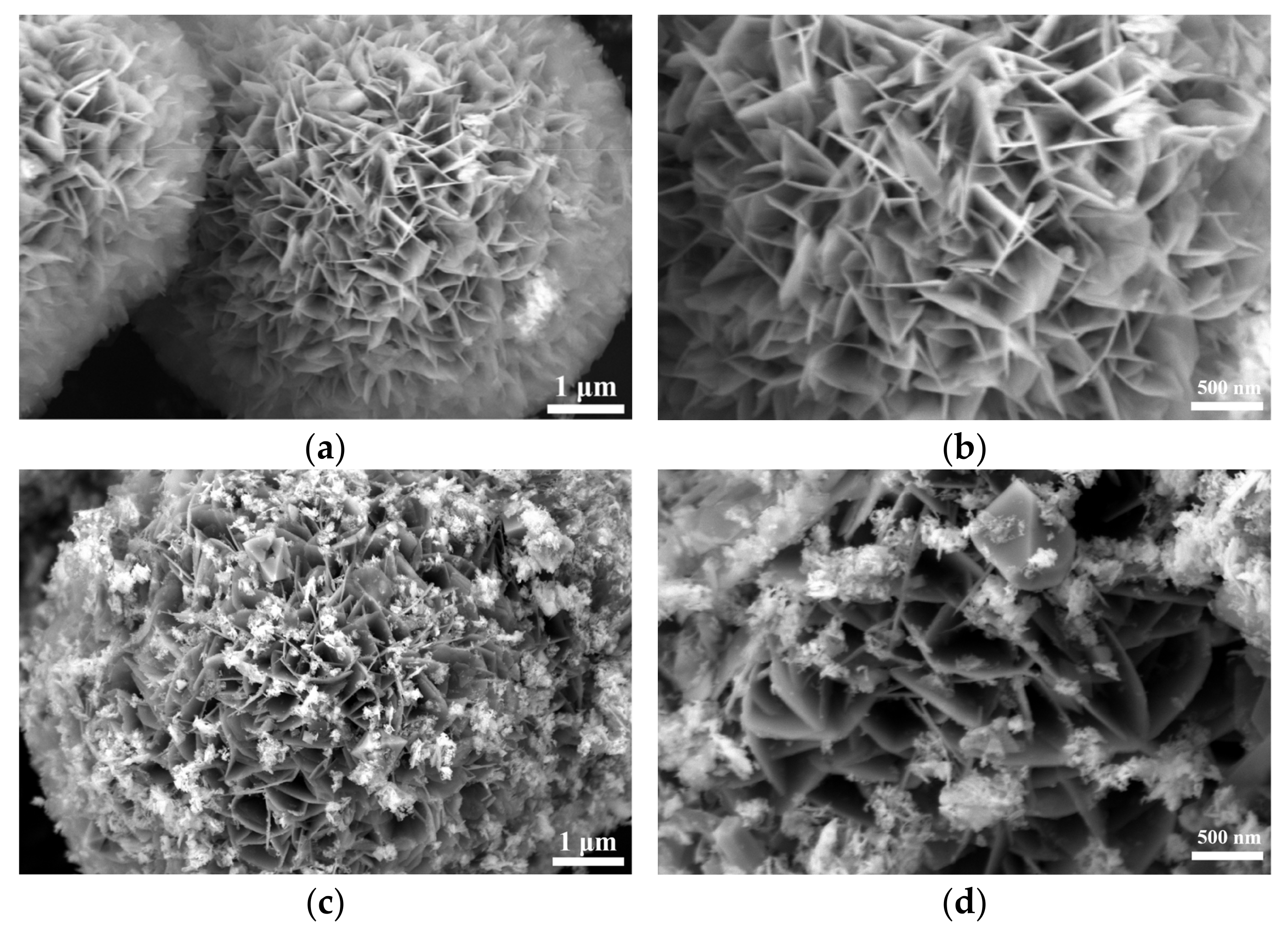 Nanomaterials 15 00294 g002a