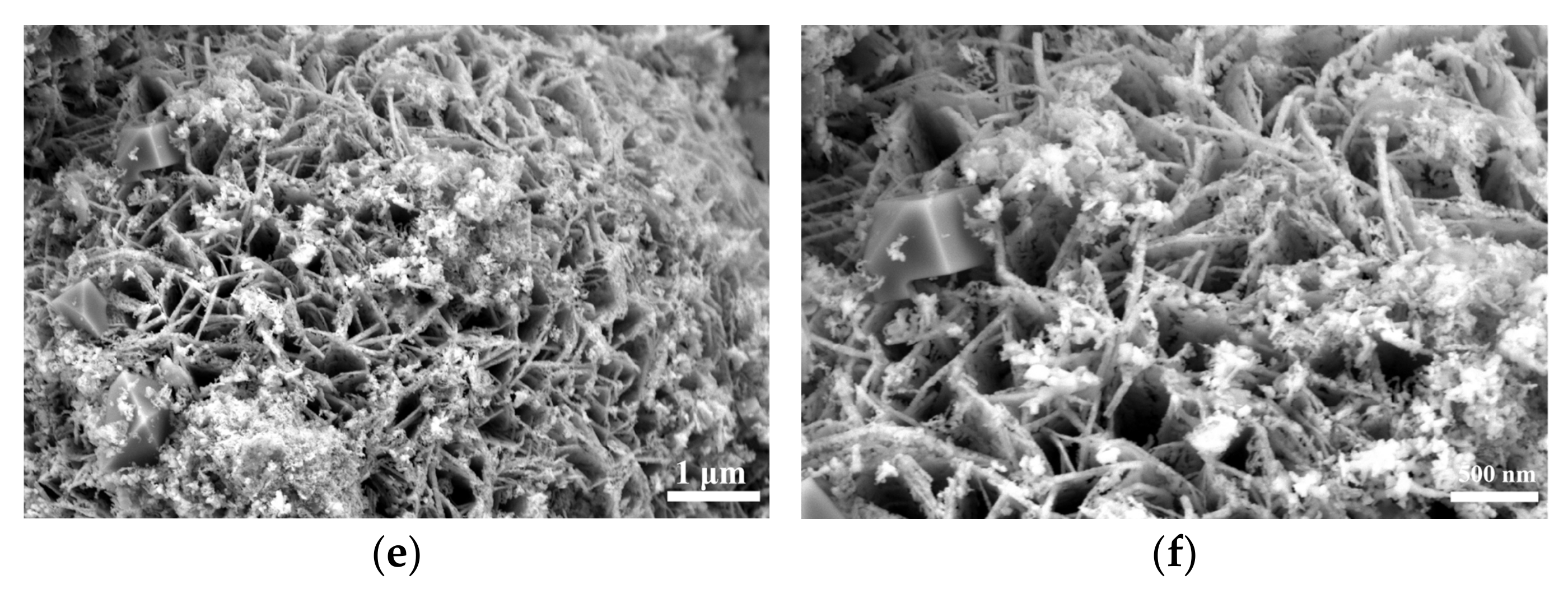 Nanomaterials 15 00294 g002b